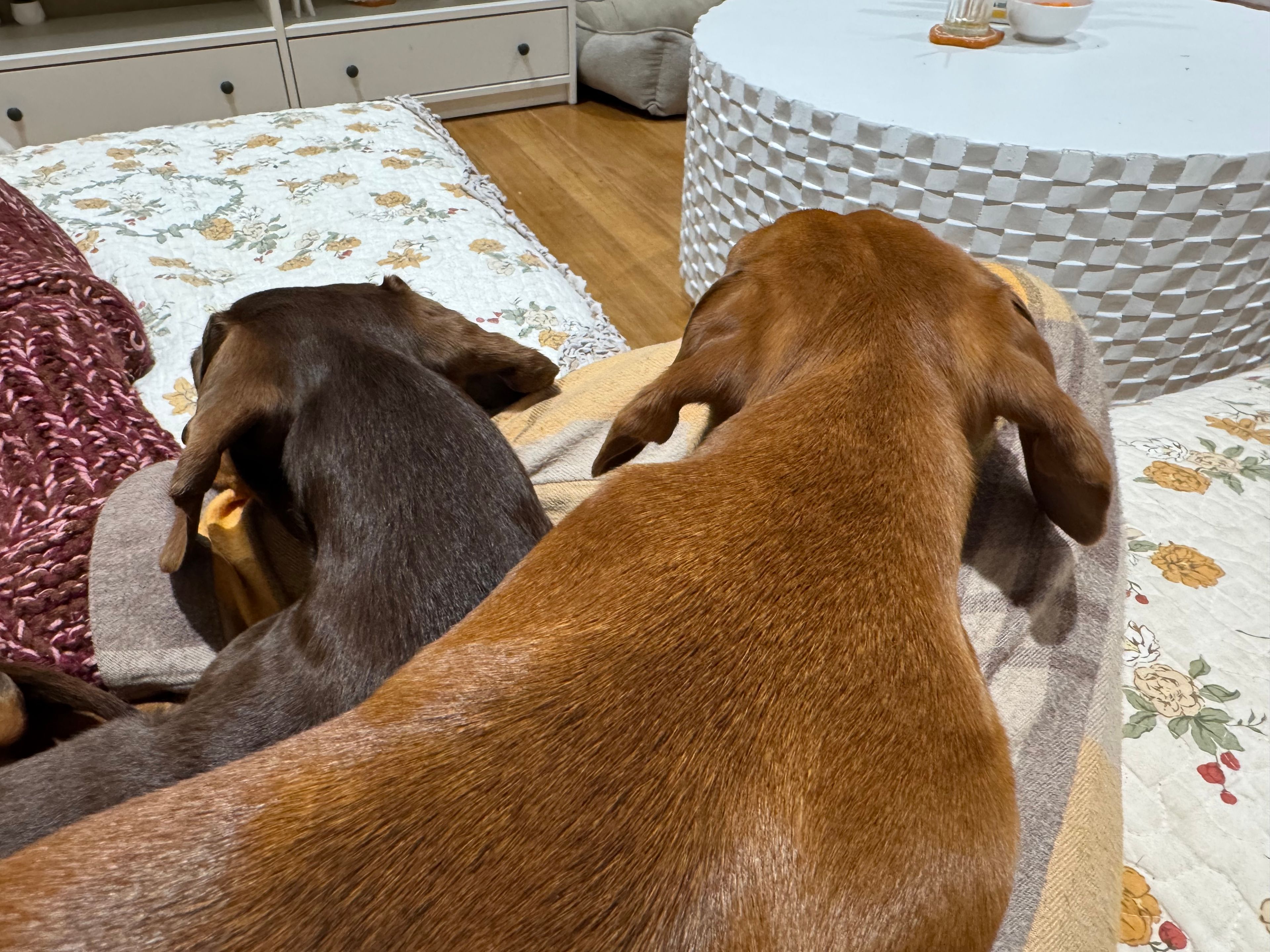 image-43
