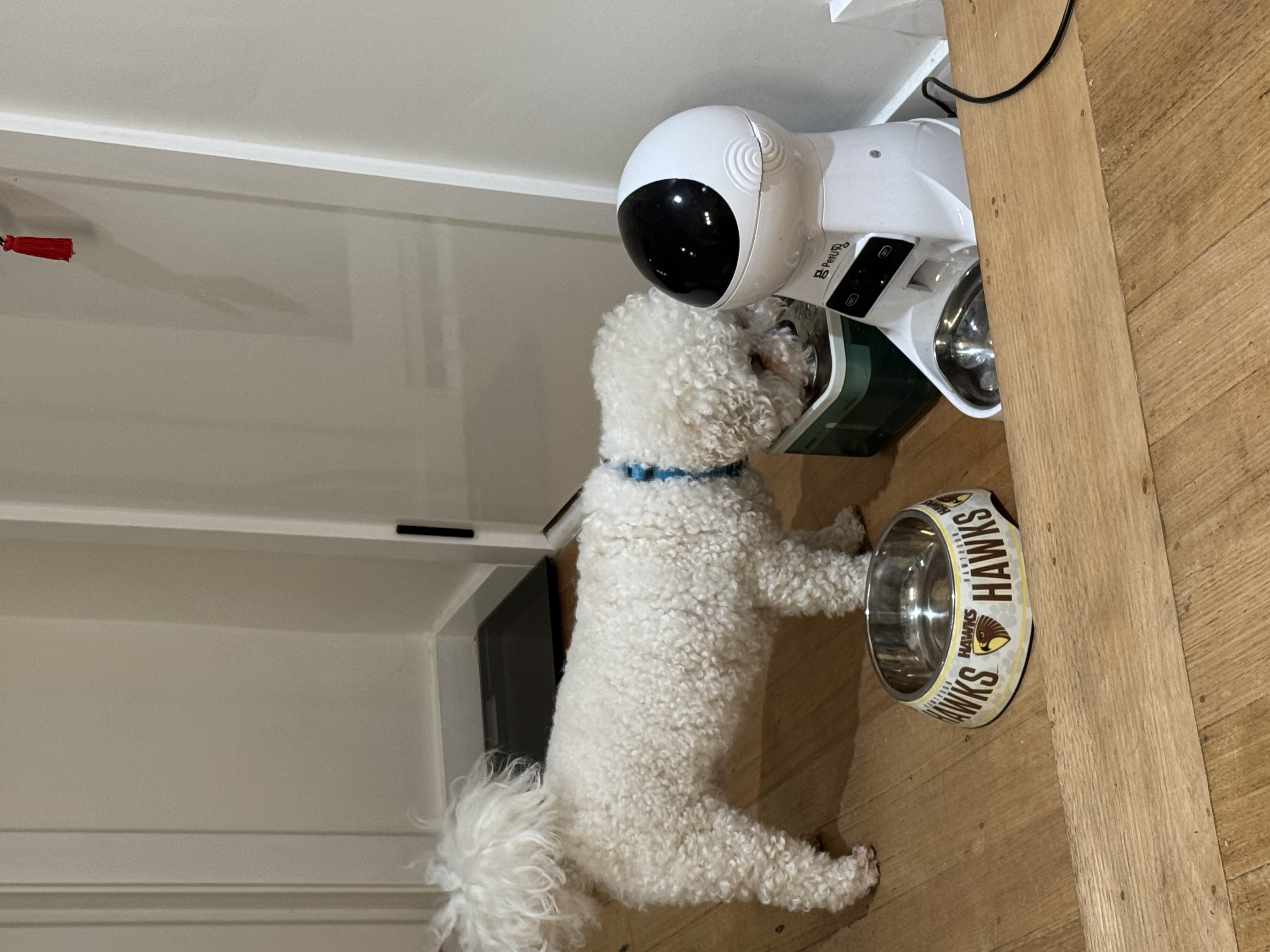 image-36