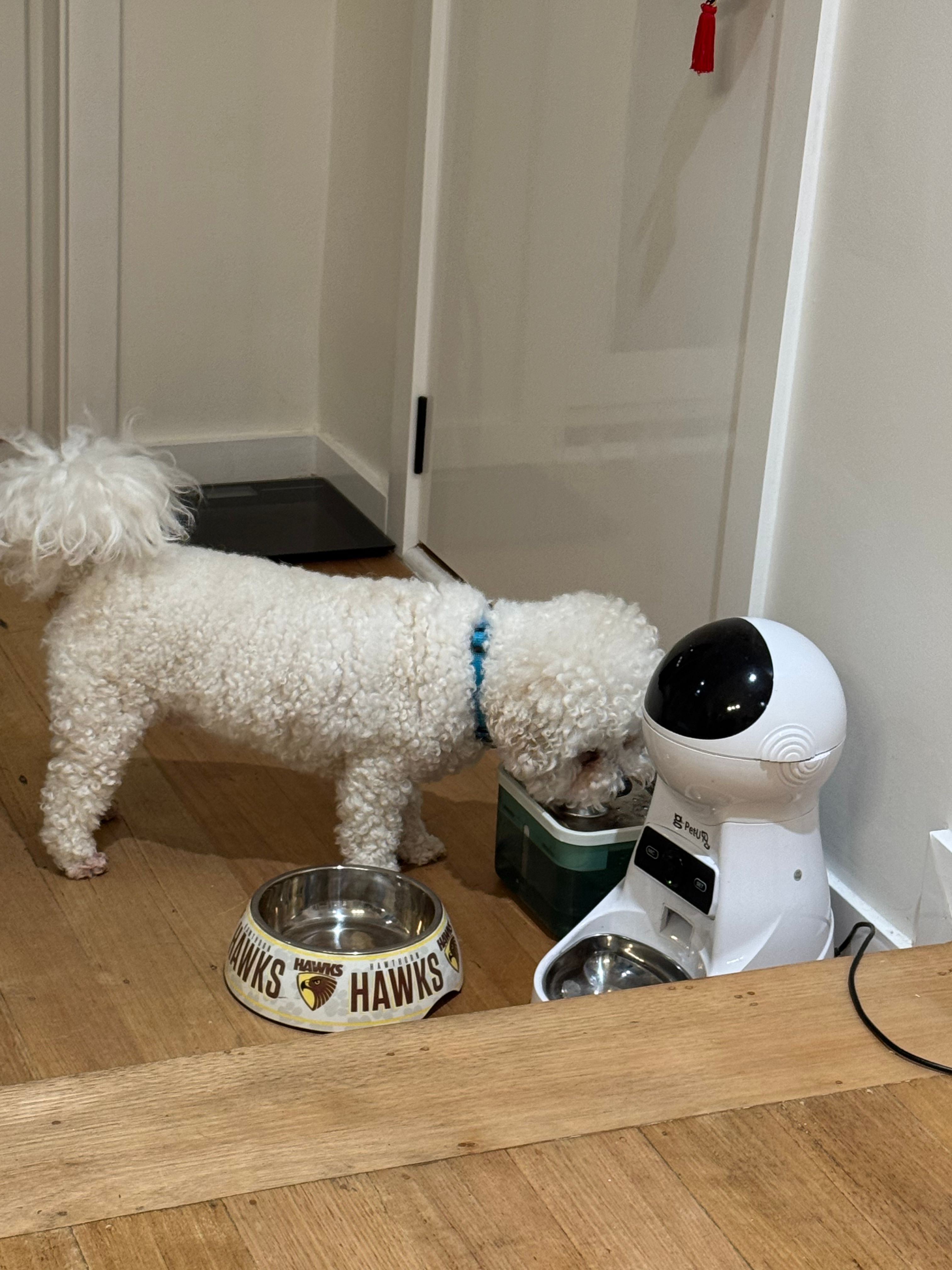 image-36