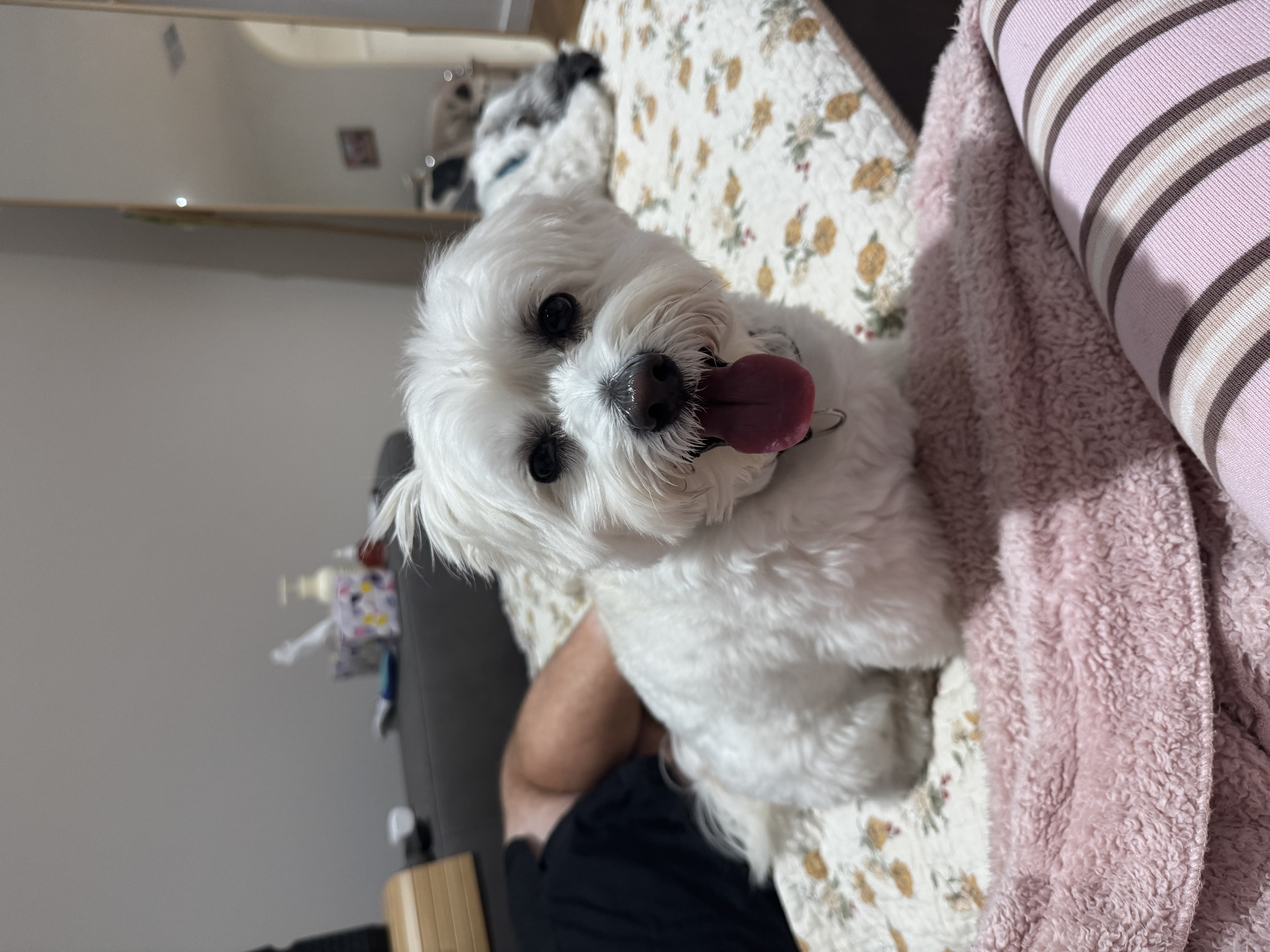 image-20