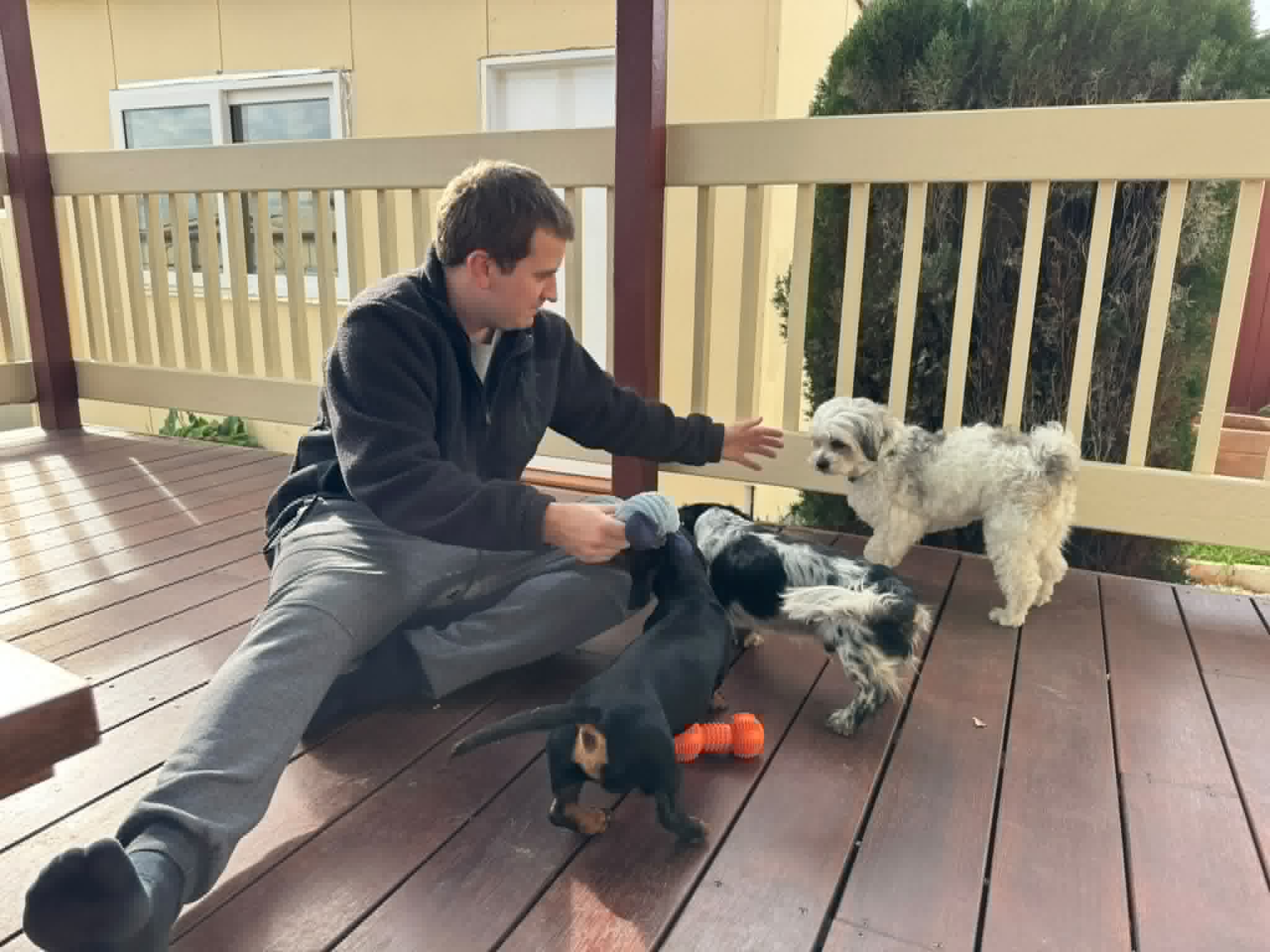 image-15