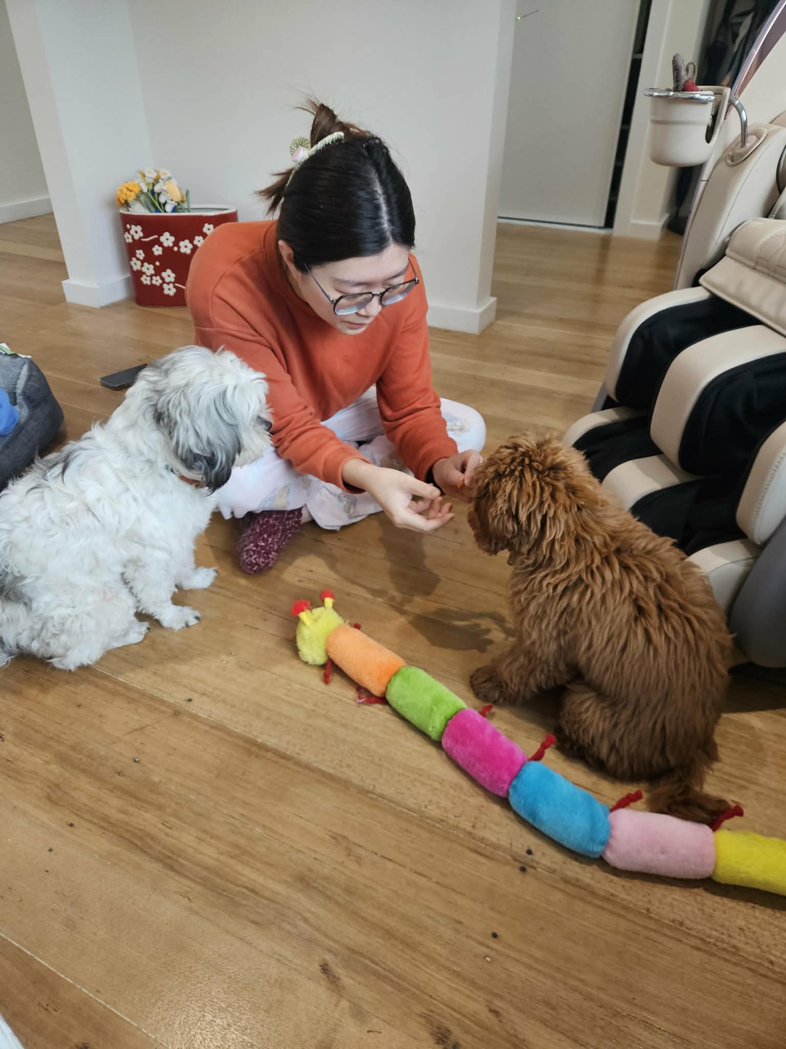 image-7