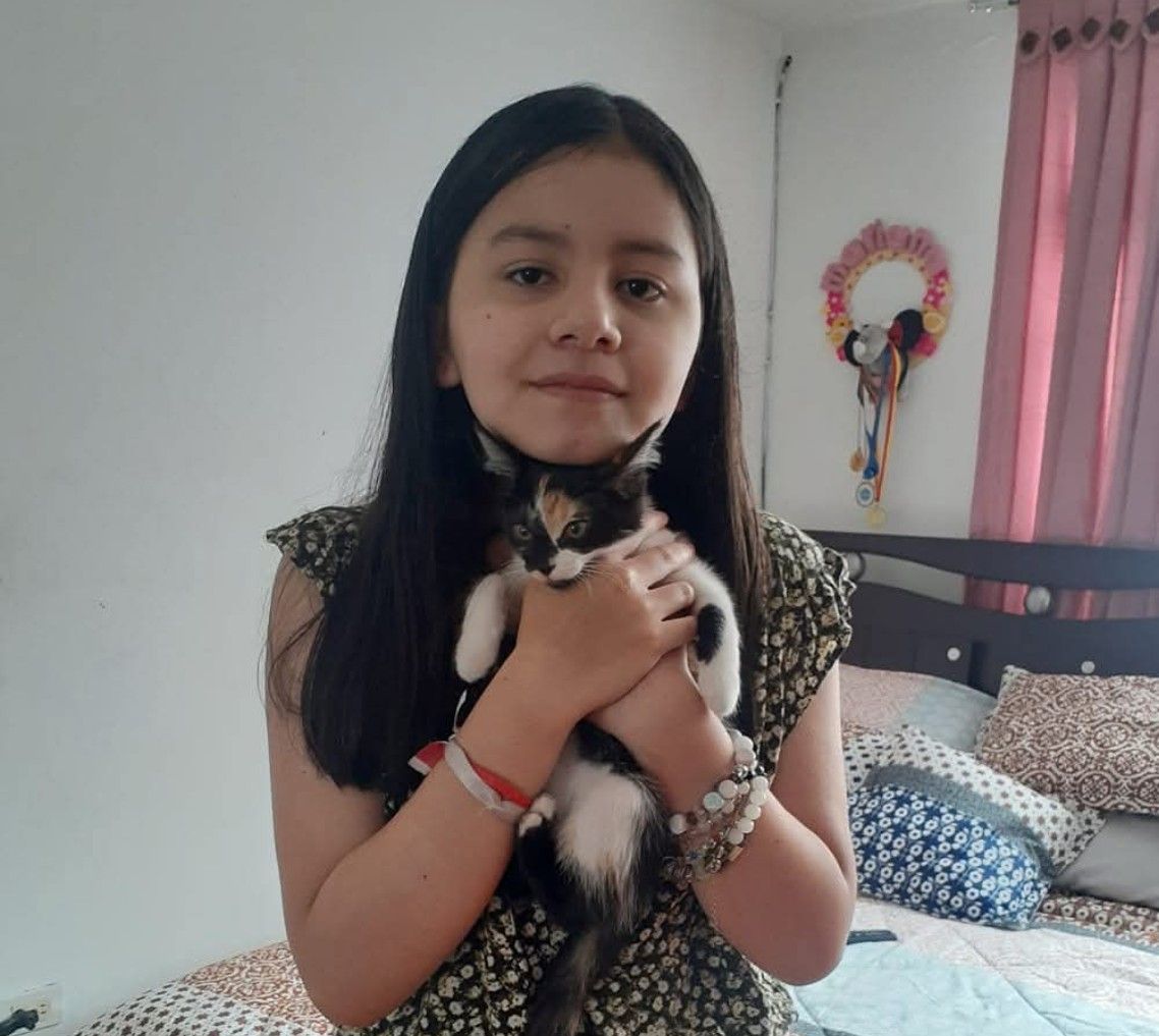 image-4
