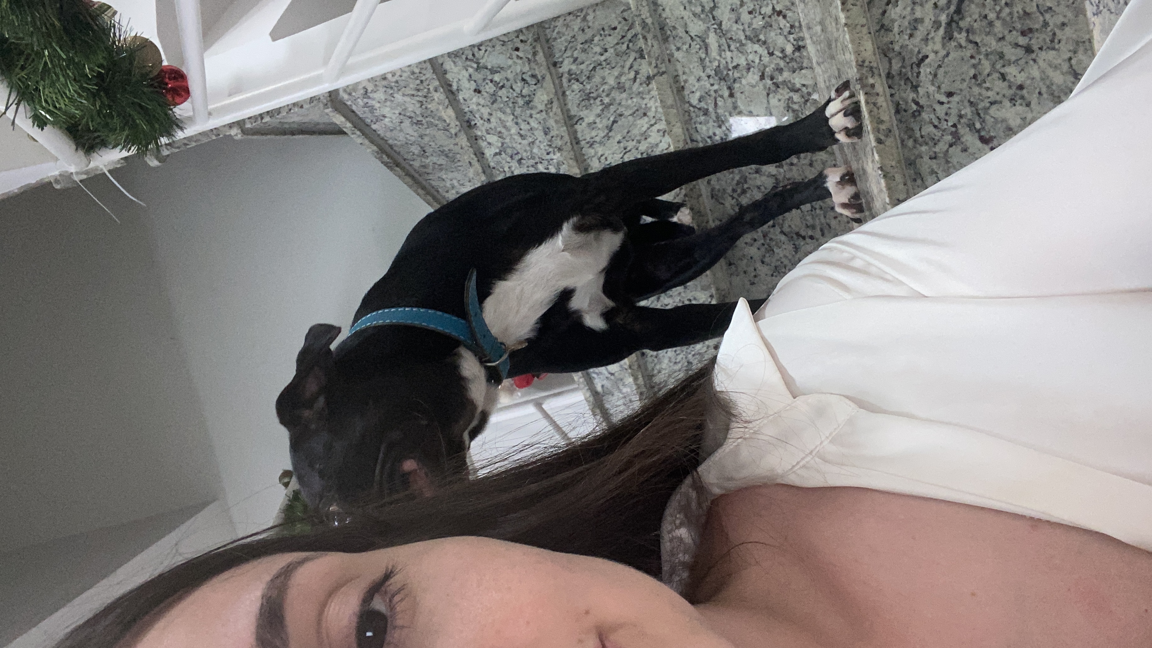 image-8