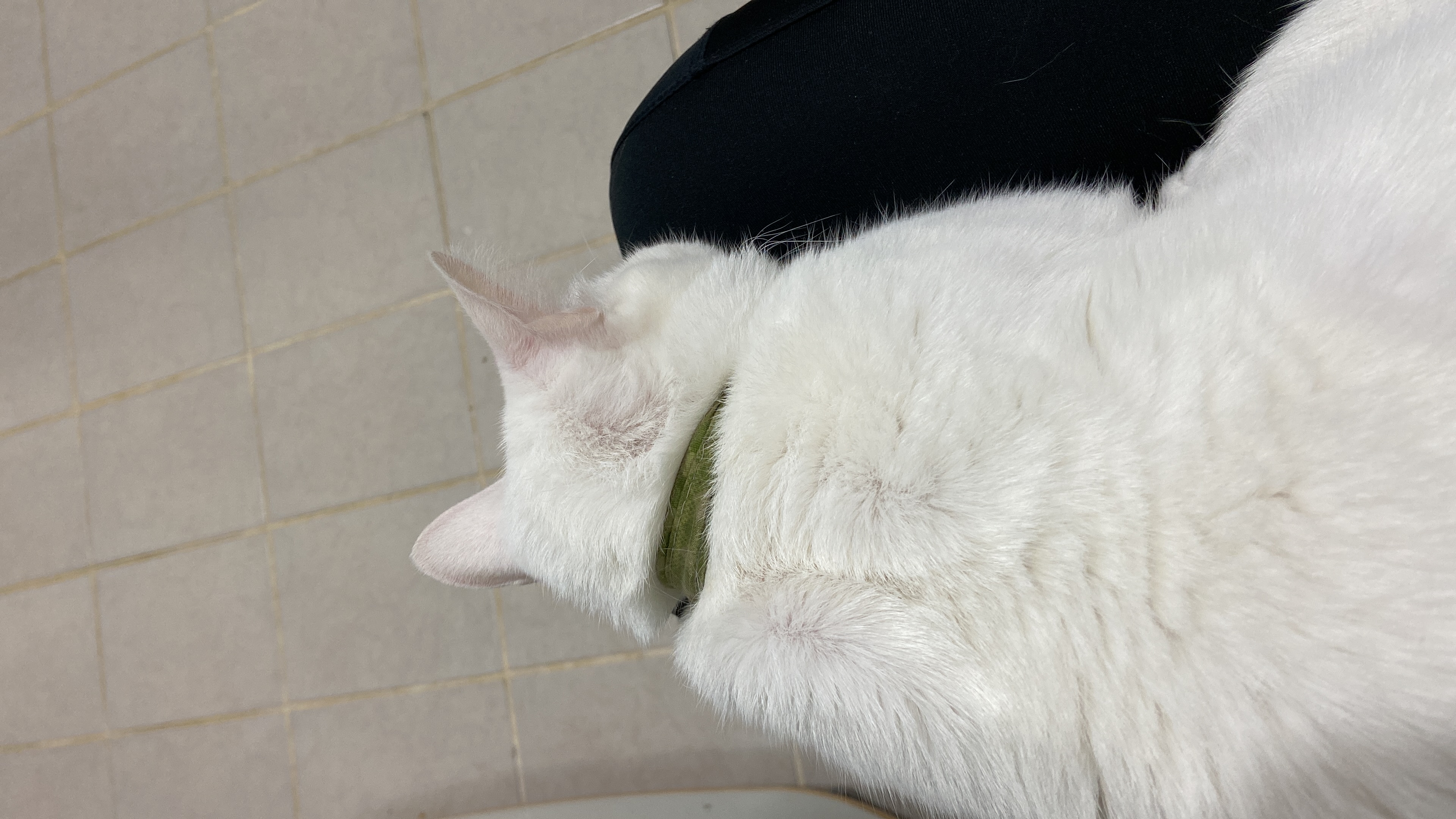 image-7