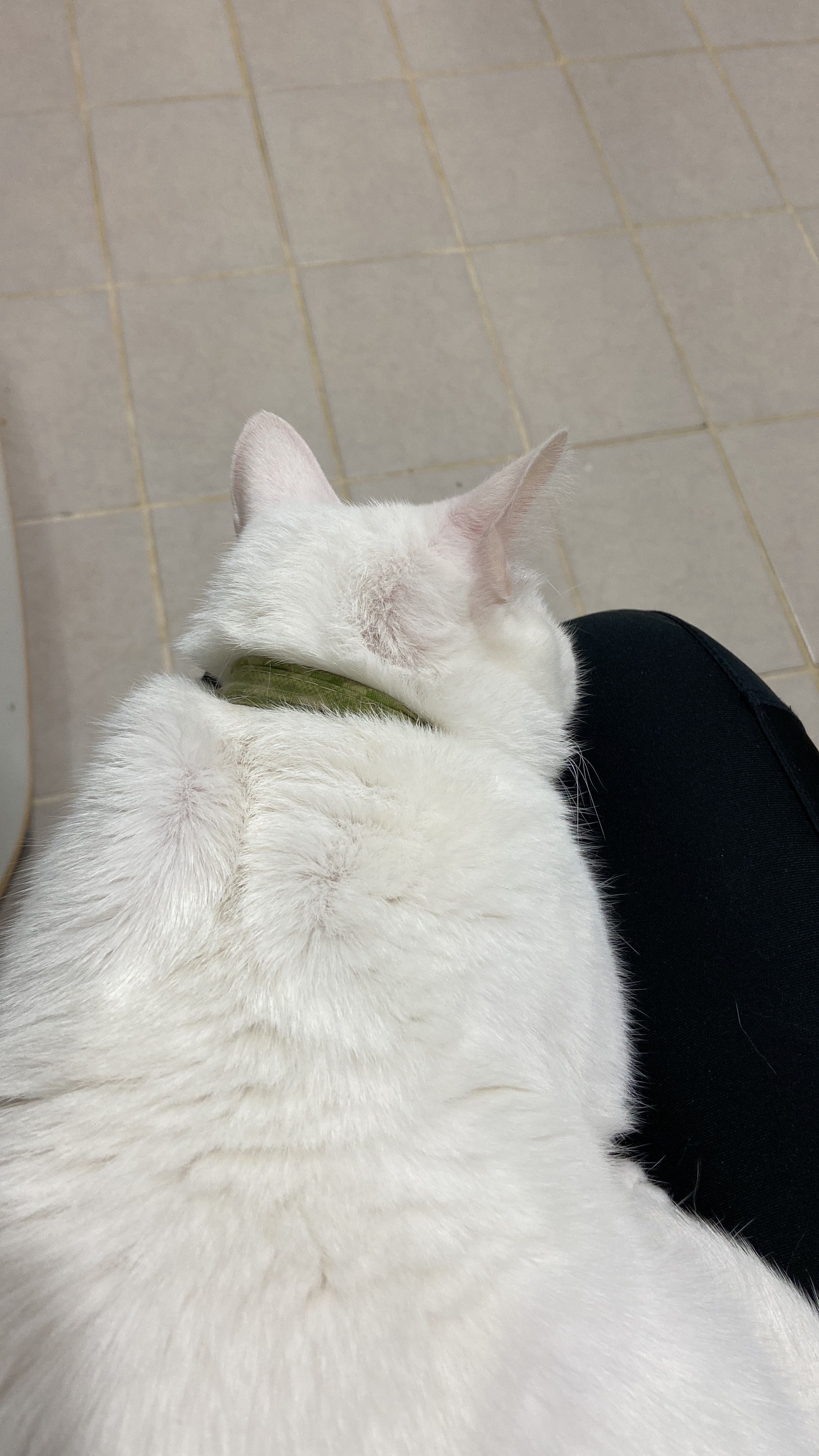 image-7
