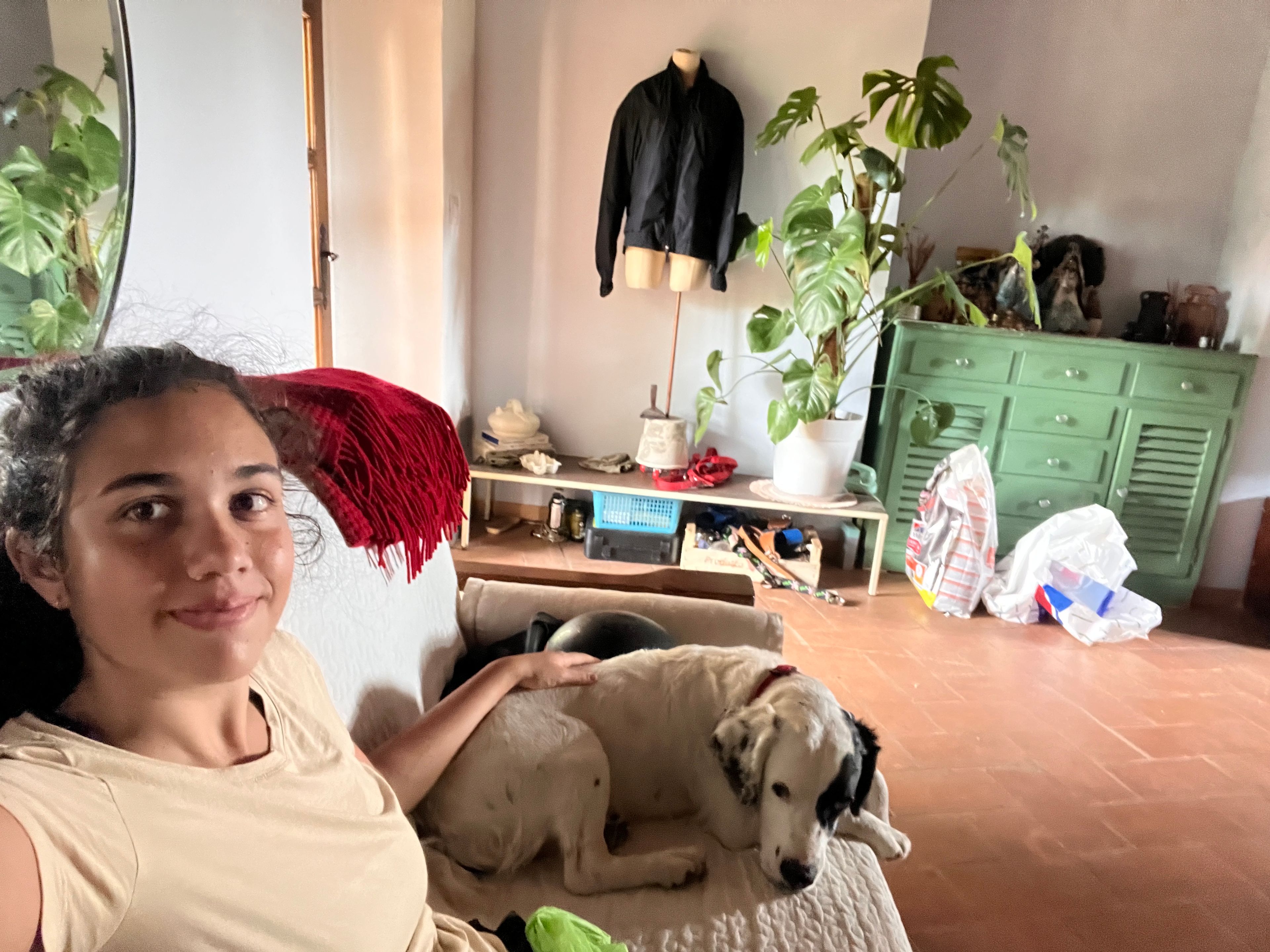 image-6