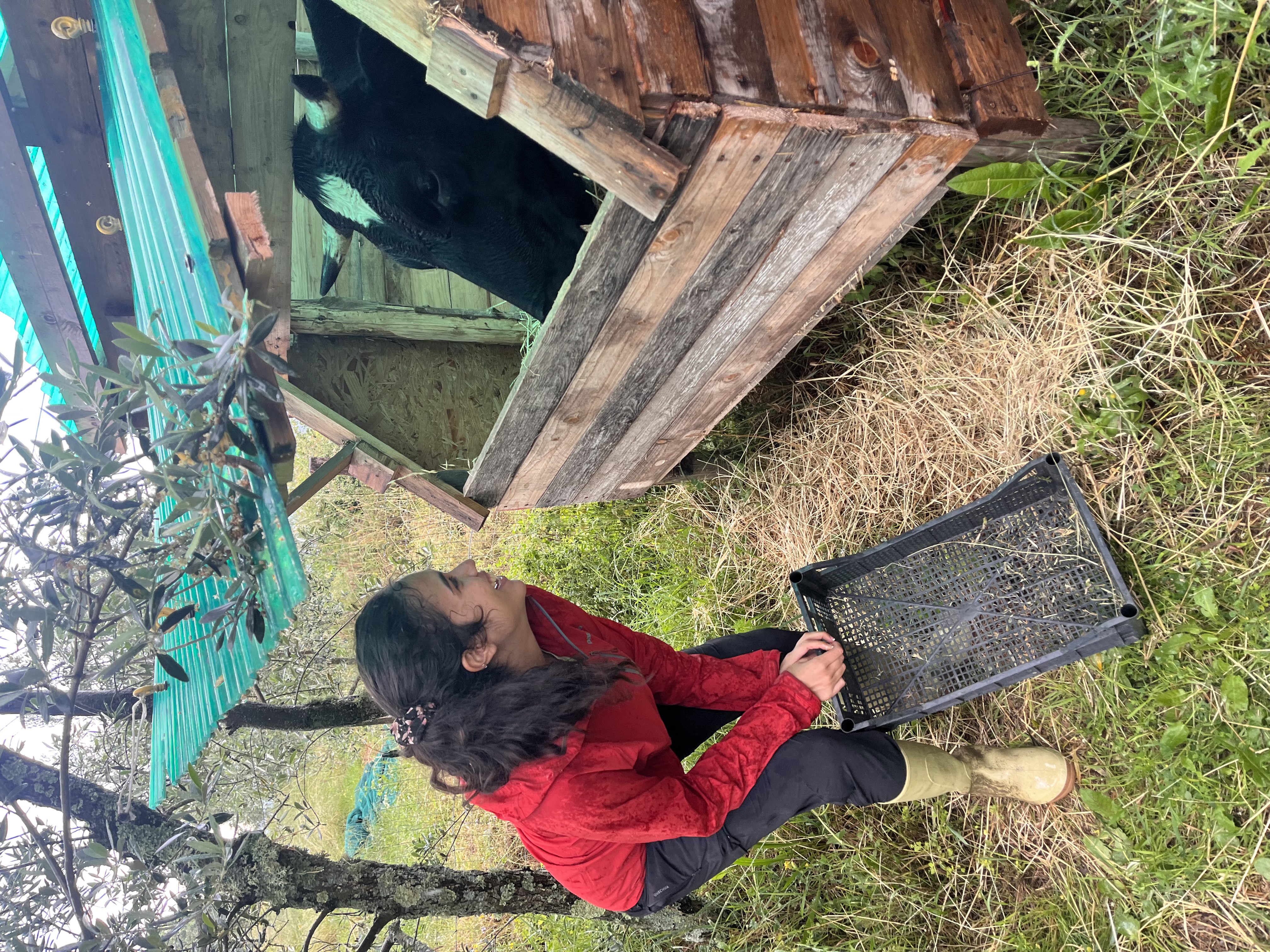 image-7