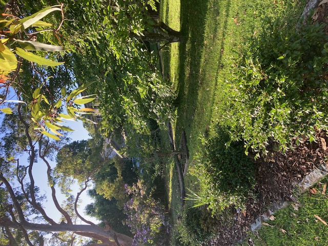 image-15
