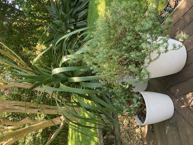 image-14