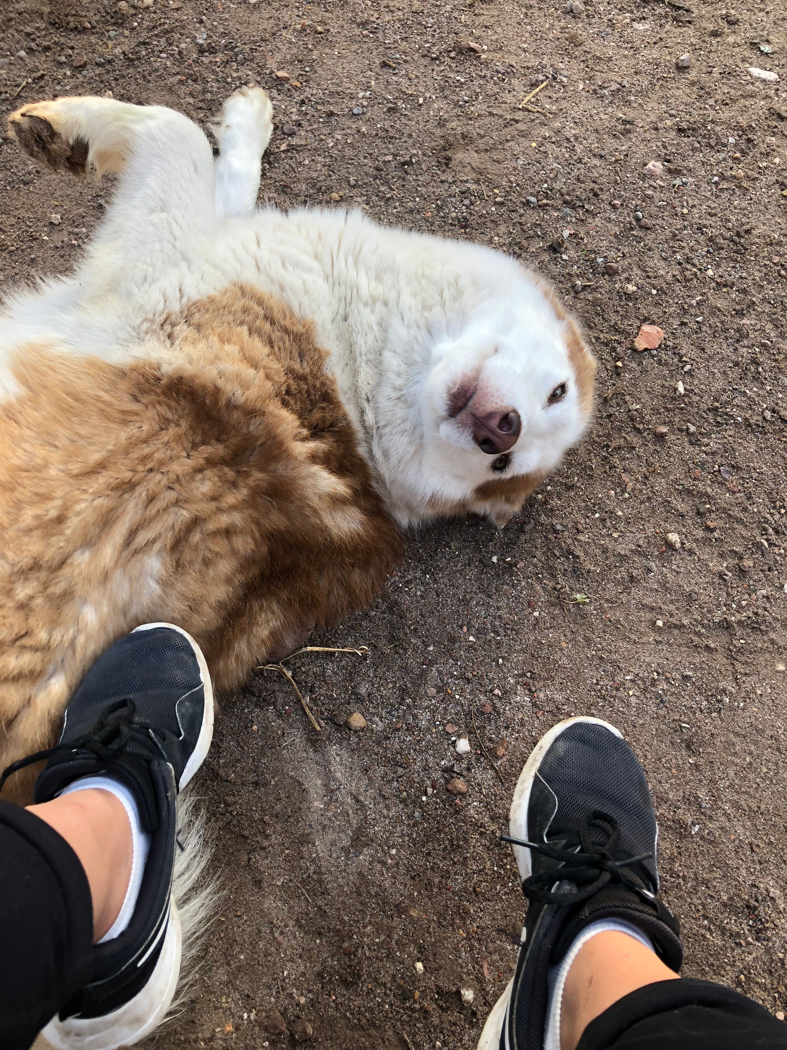 image-6