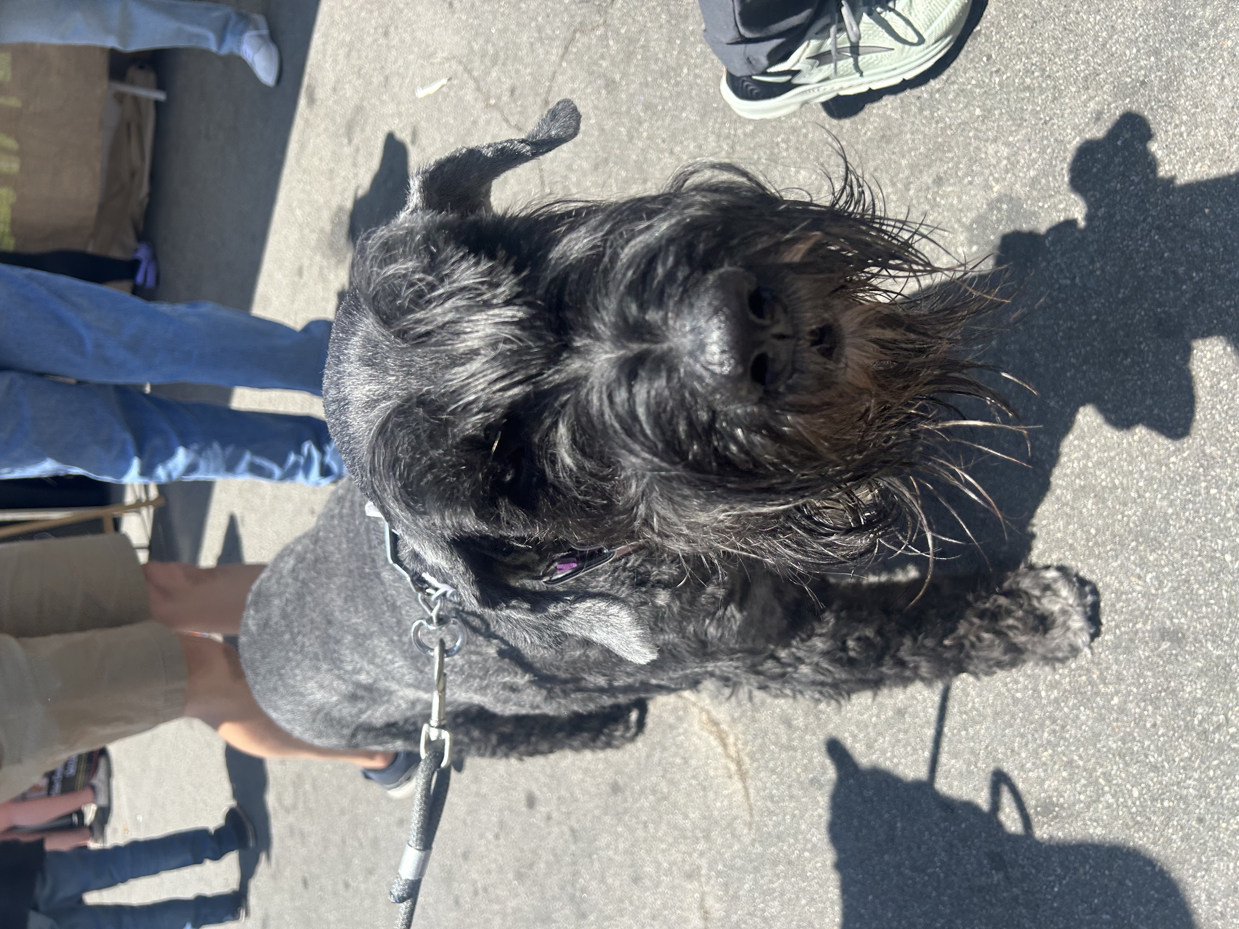 image-7