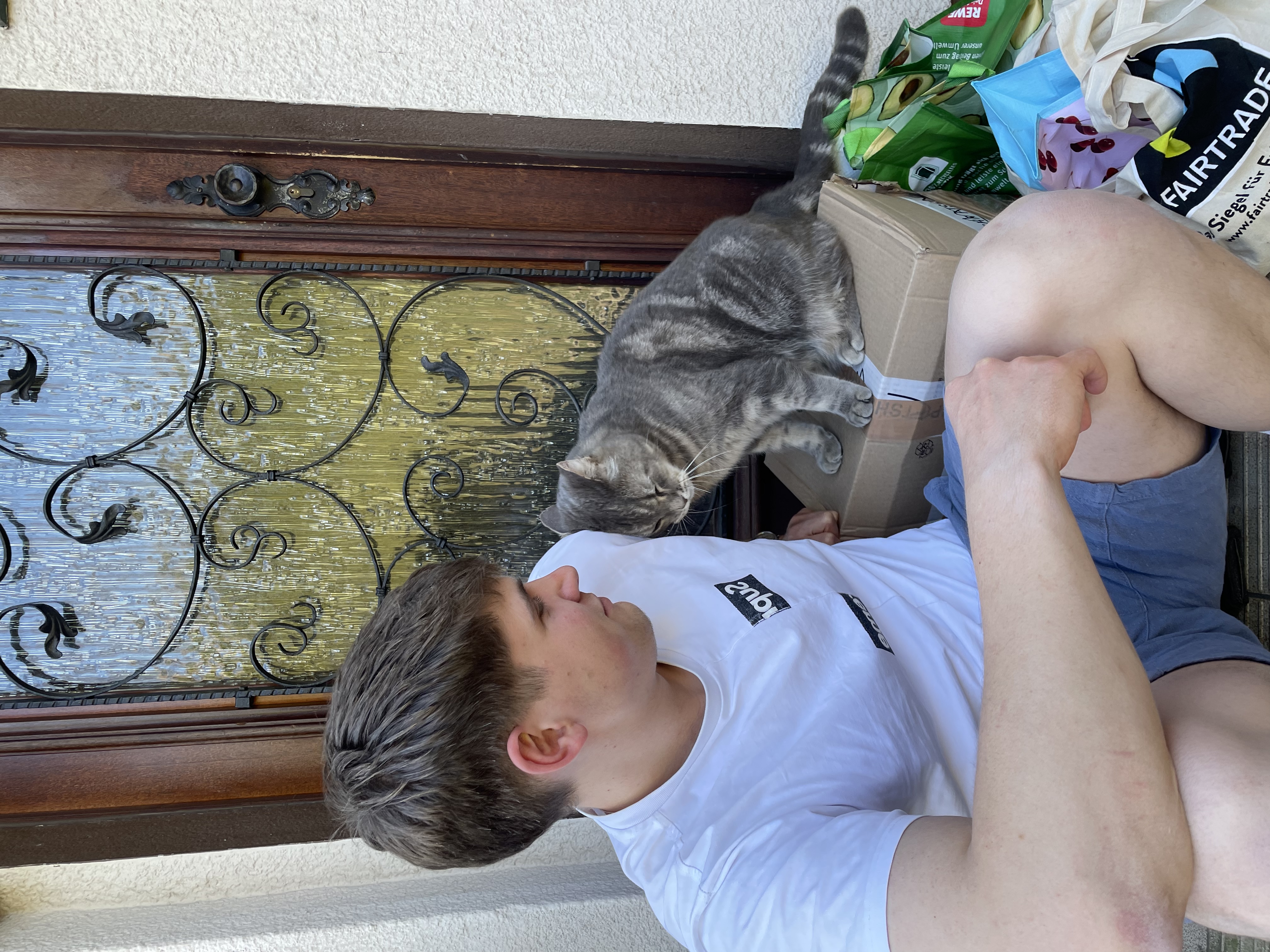 image-6