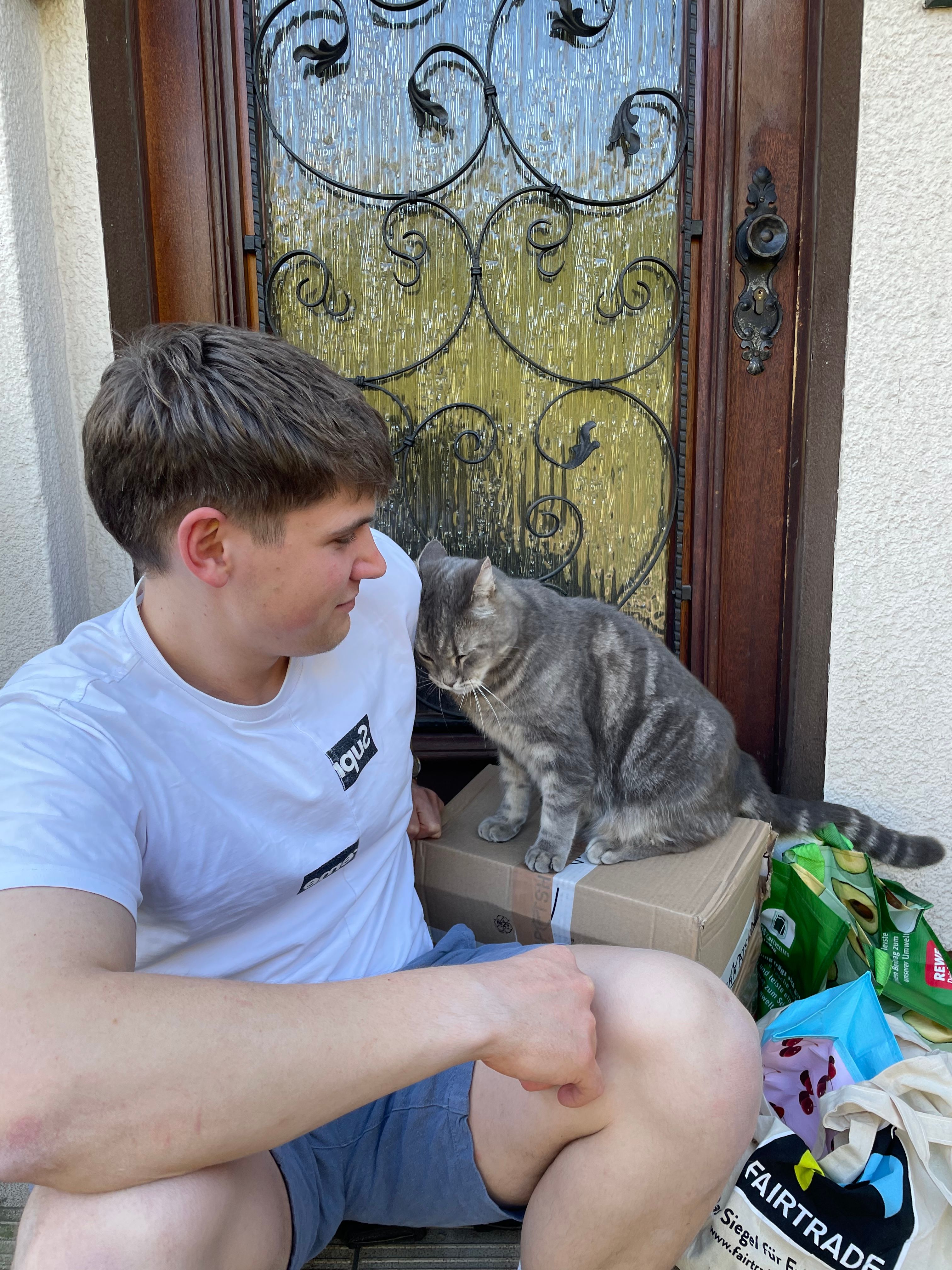 image-6