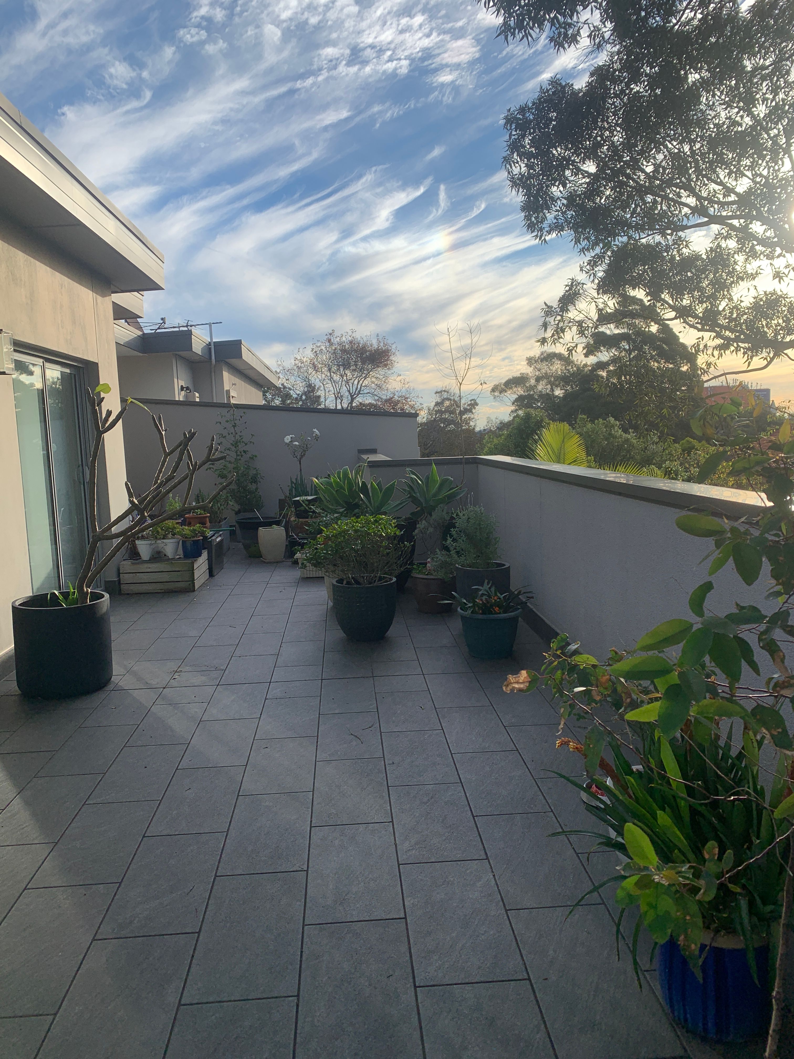 image-20