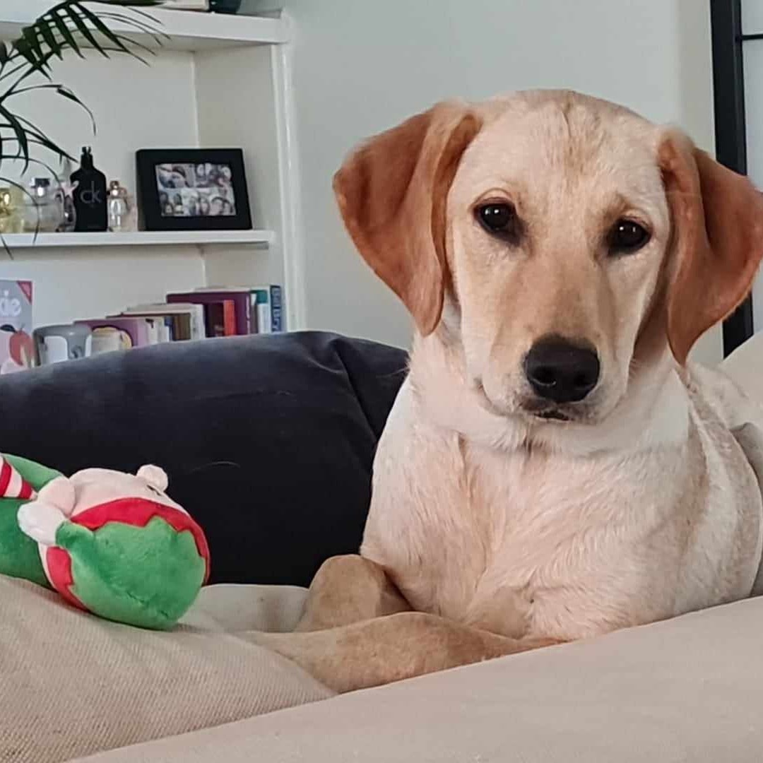 Lily