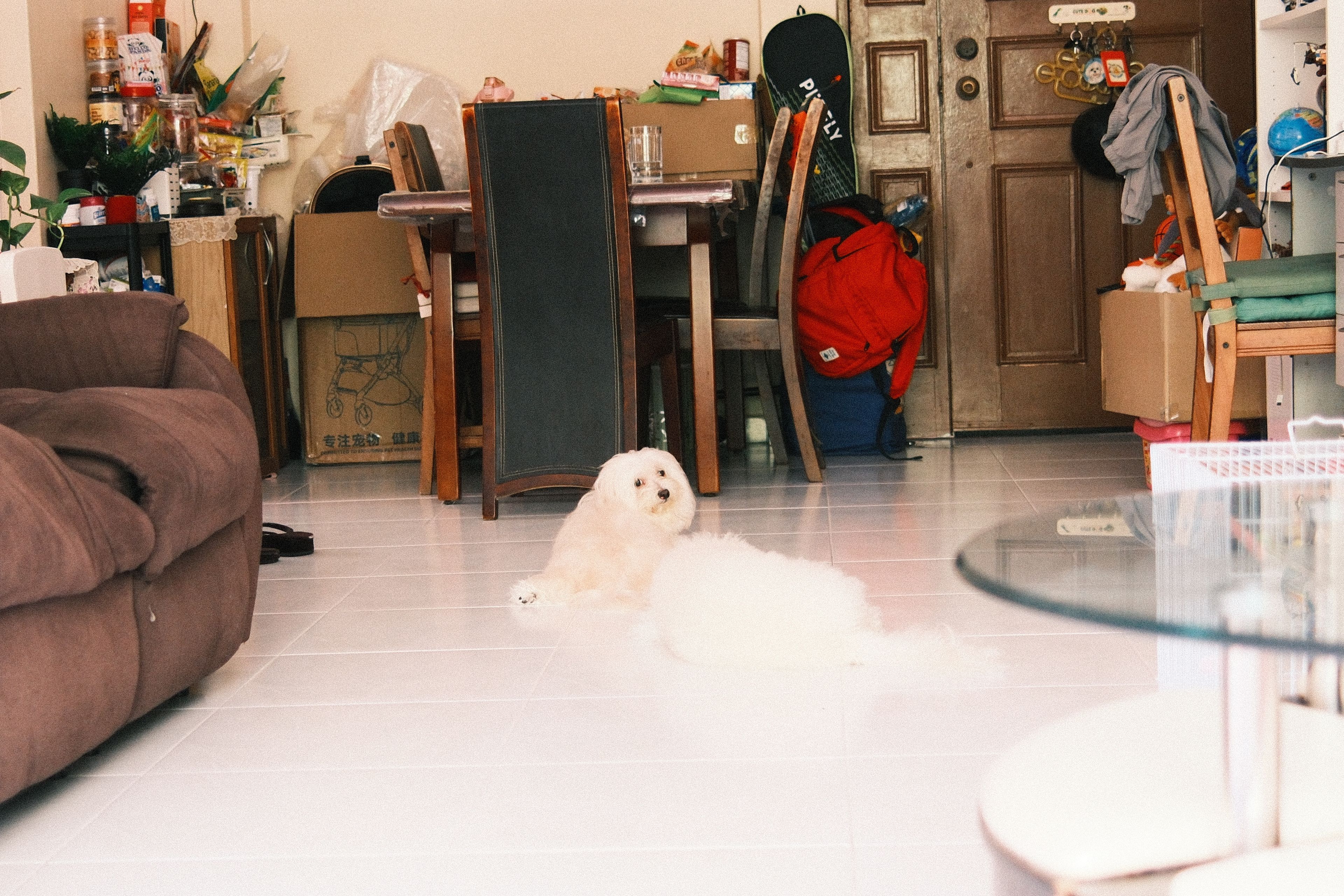 image-15