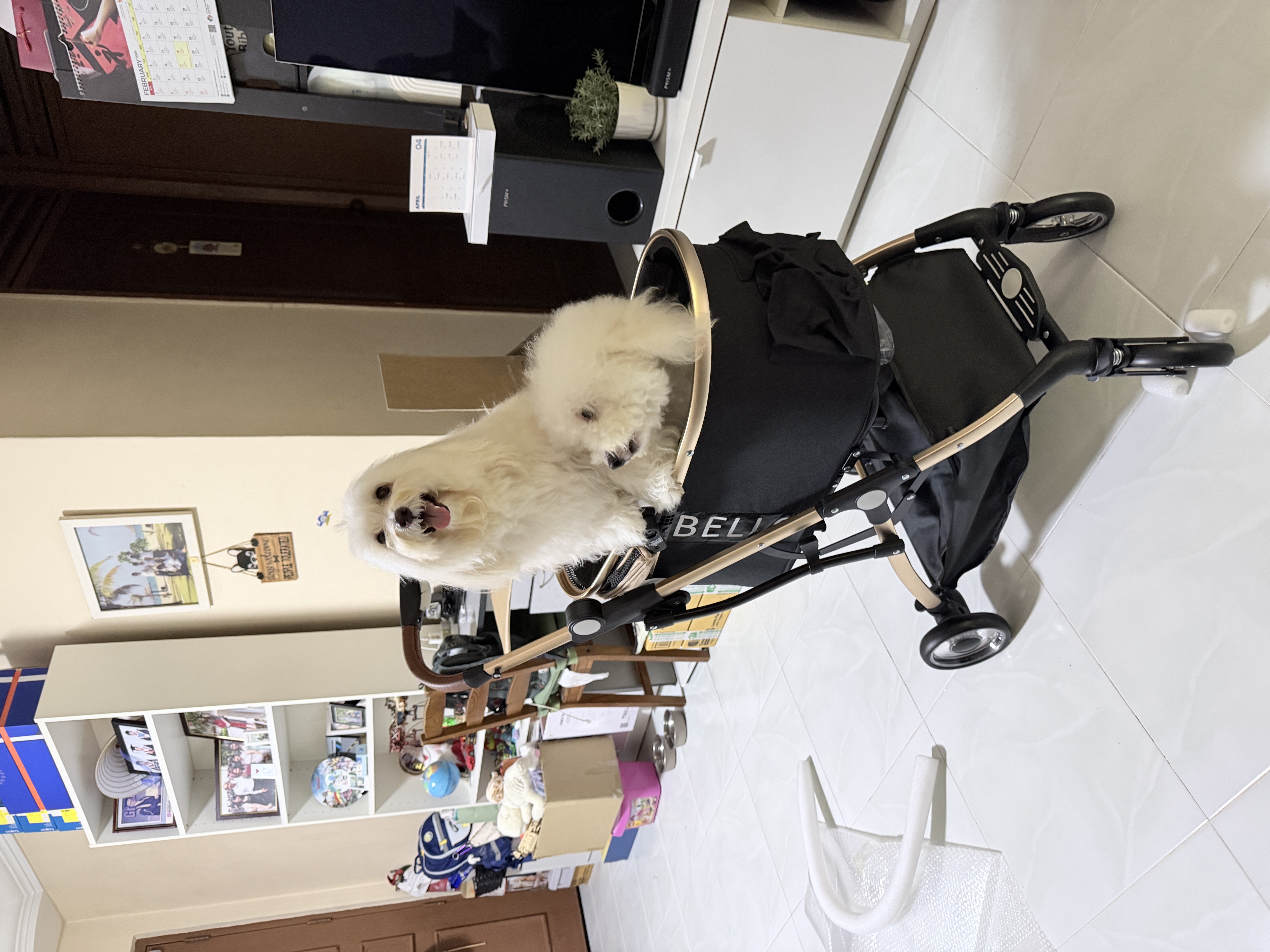 image-16