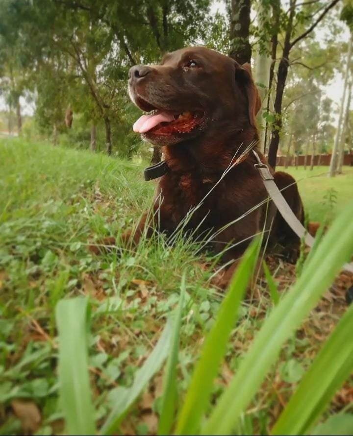 image-17