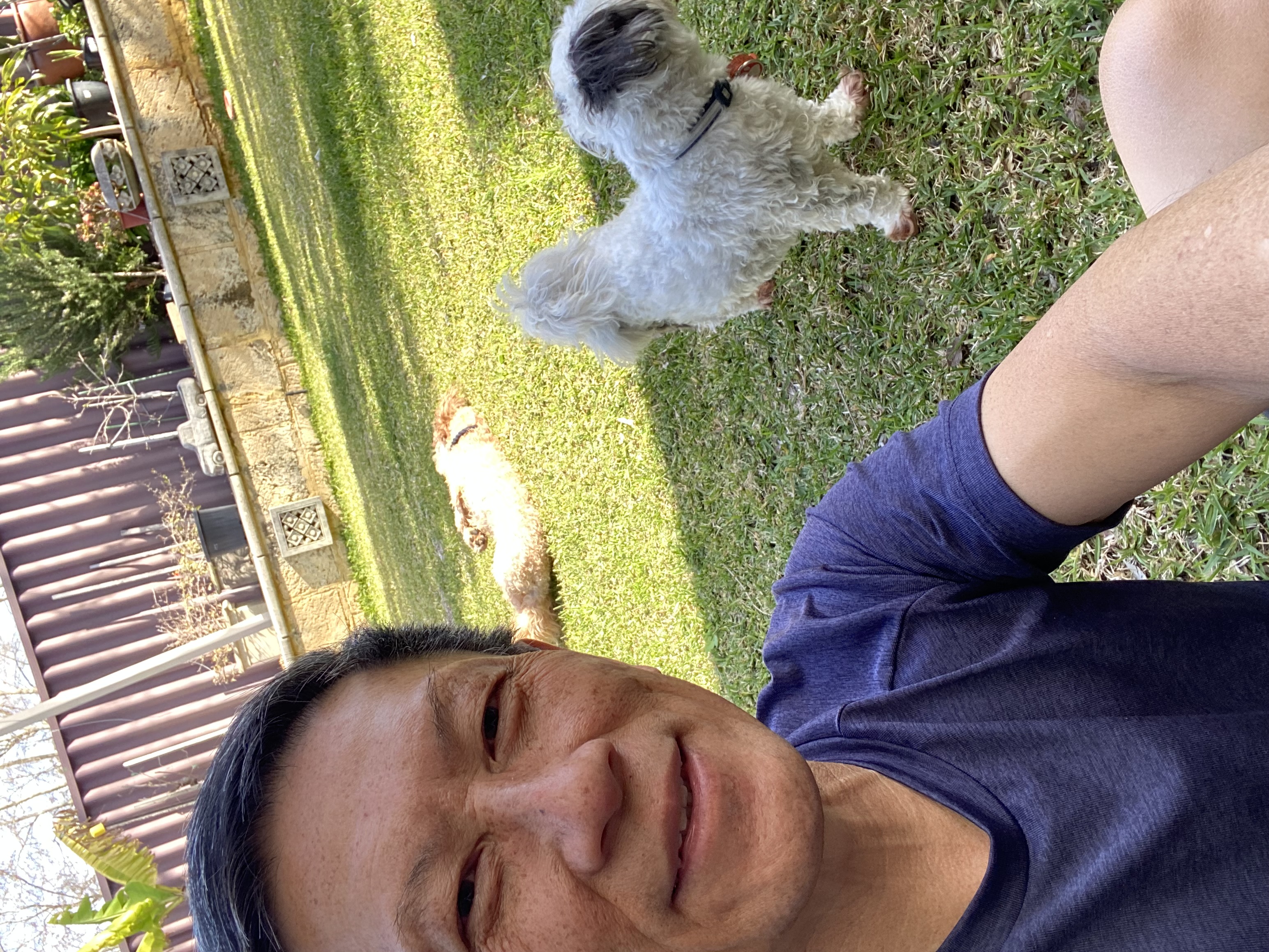 image-3