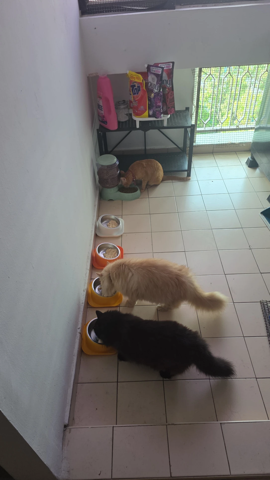 image-18