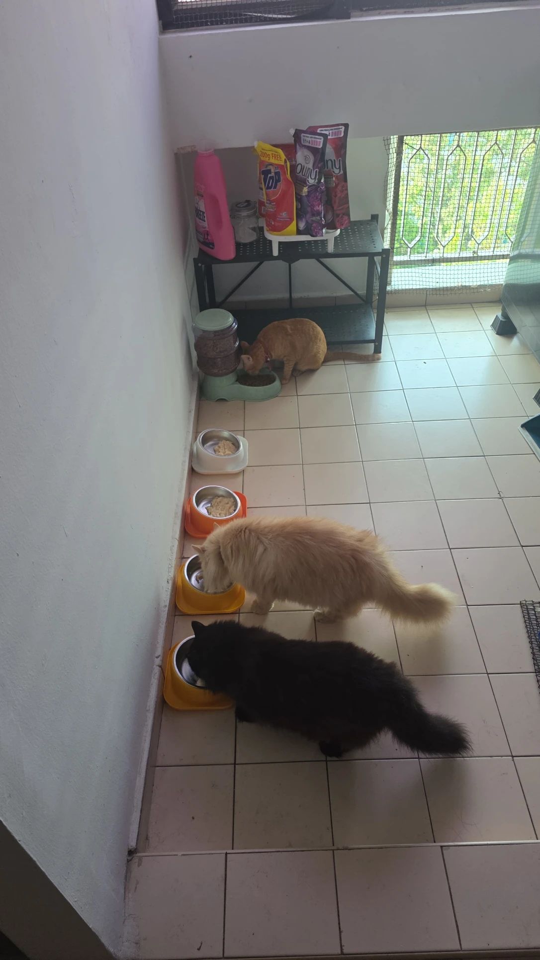 image-18