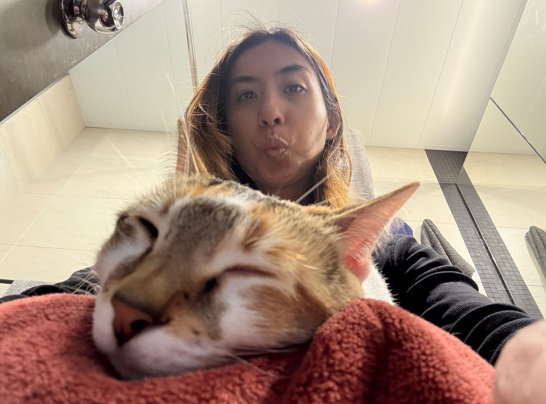 image-6
