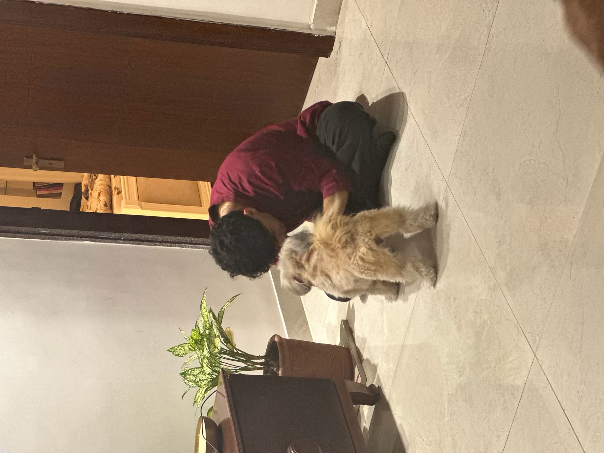 image-2