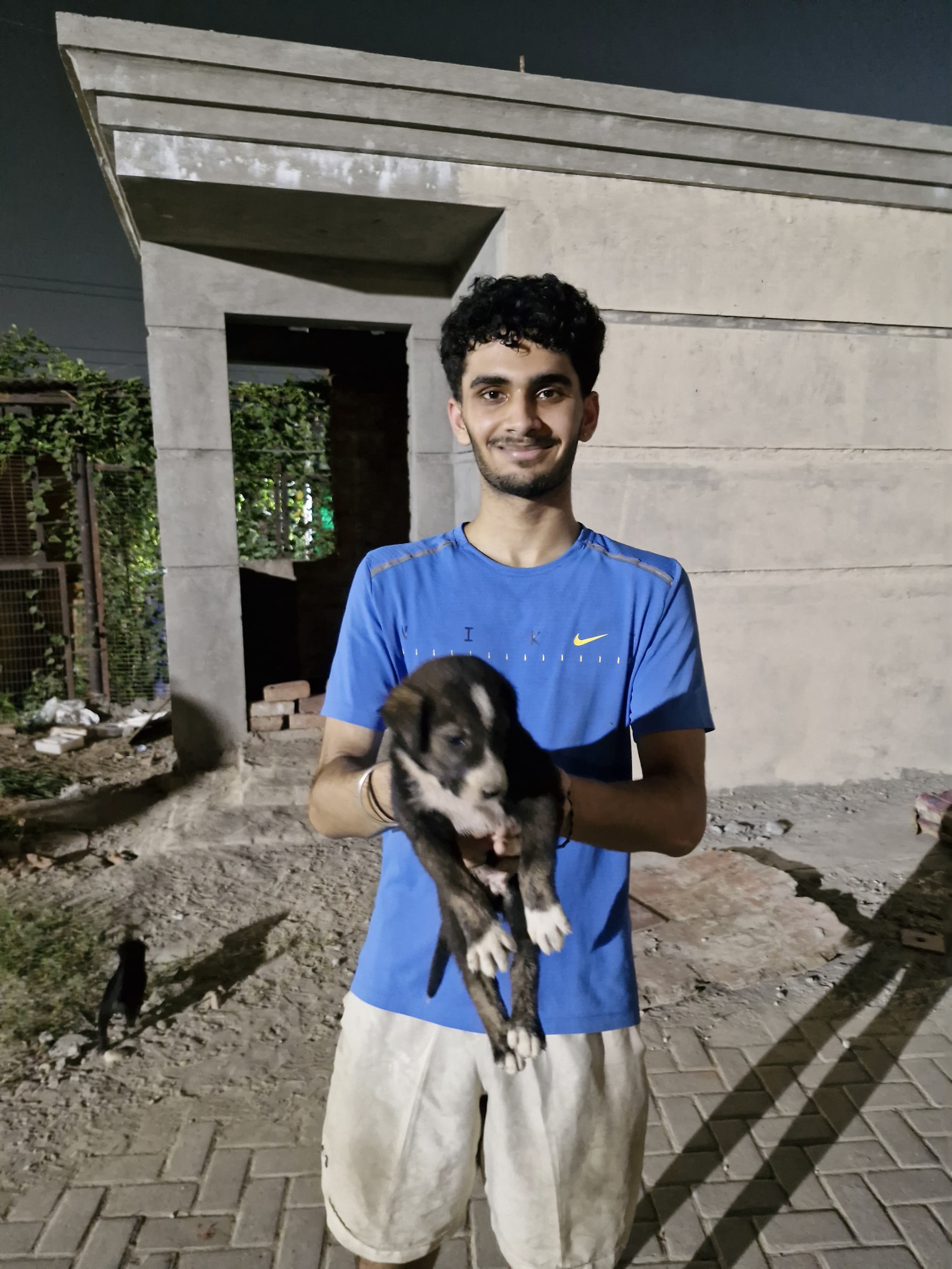 image-3