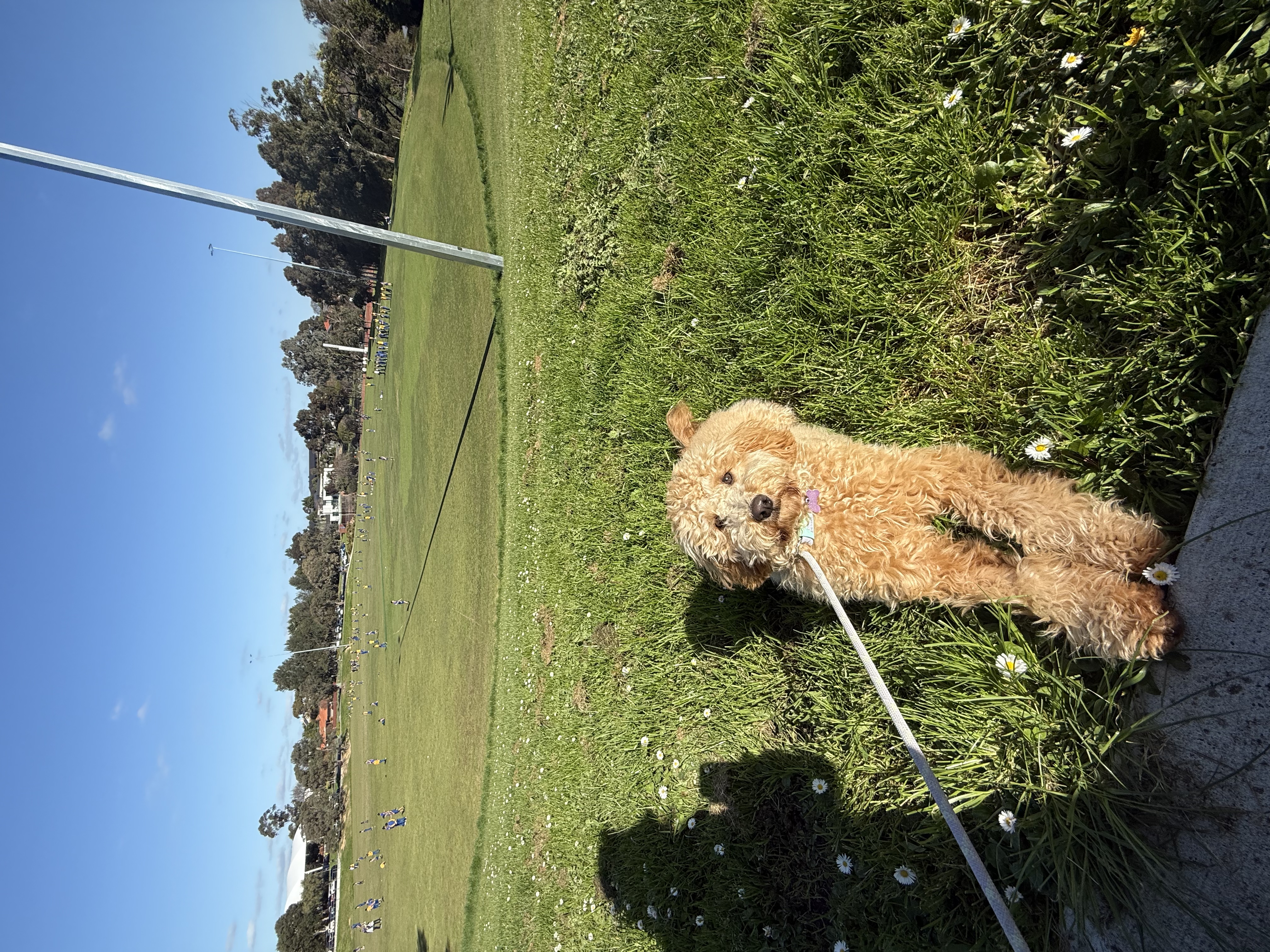 image-5