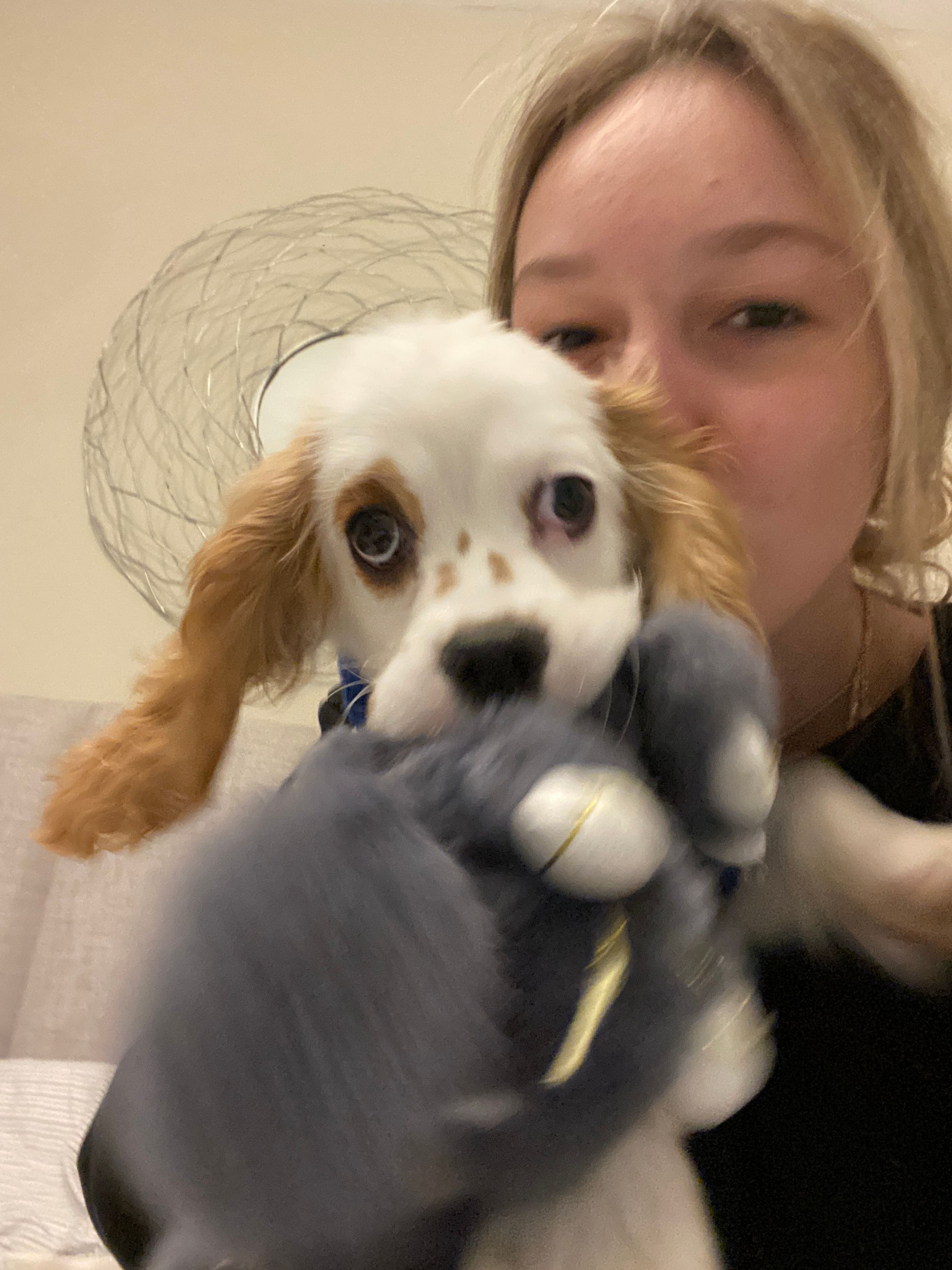 image-6