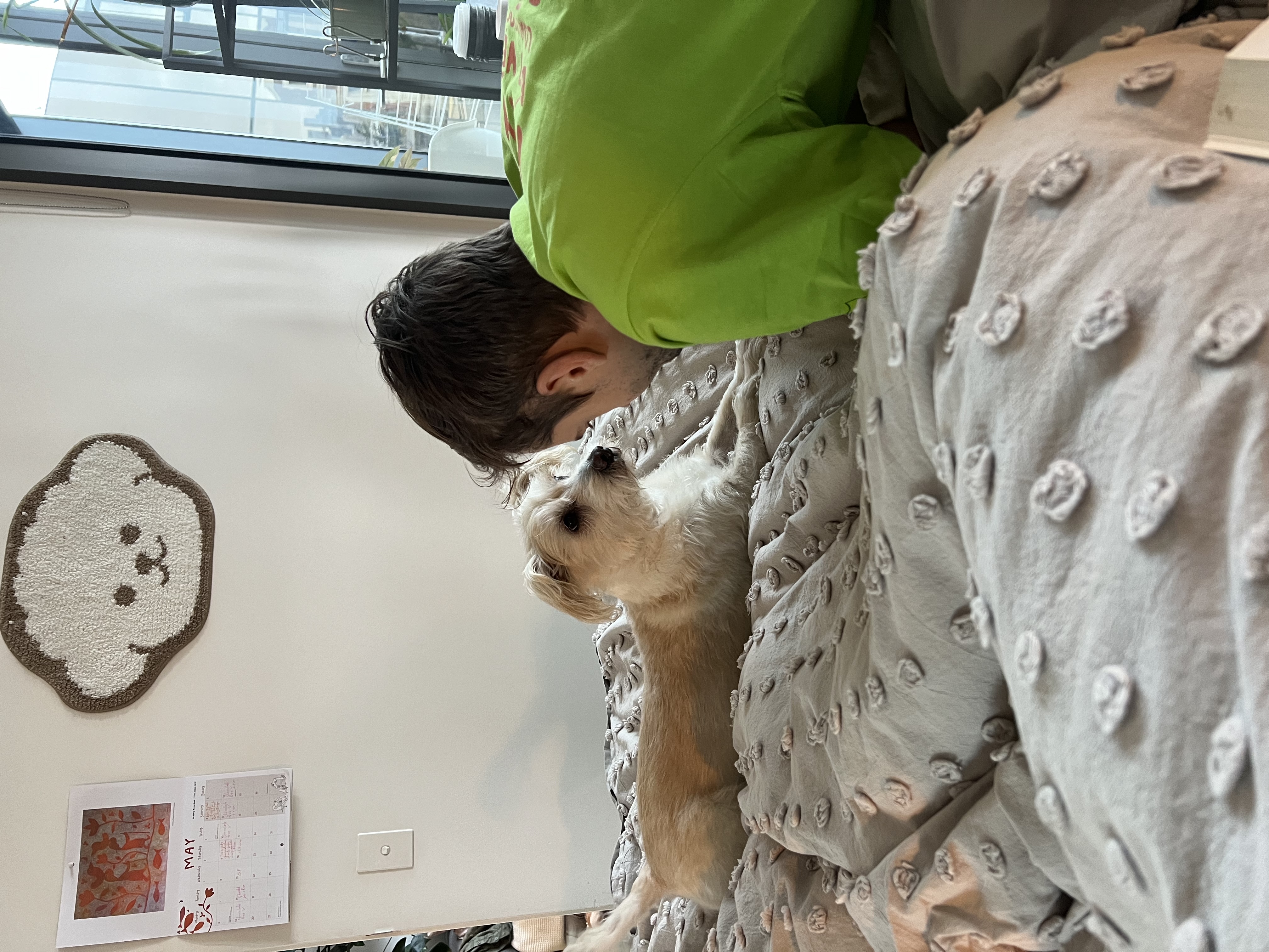 image-36
