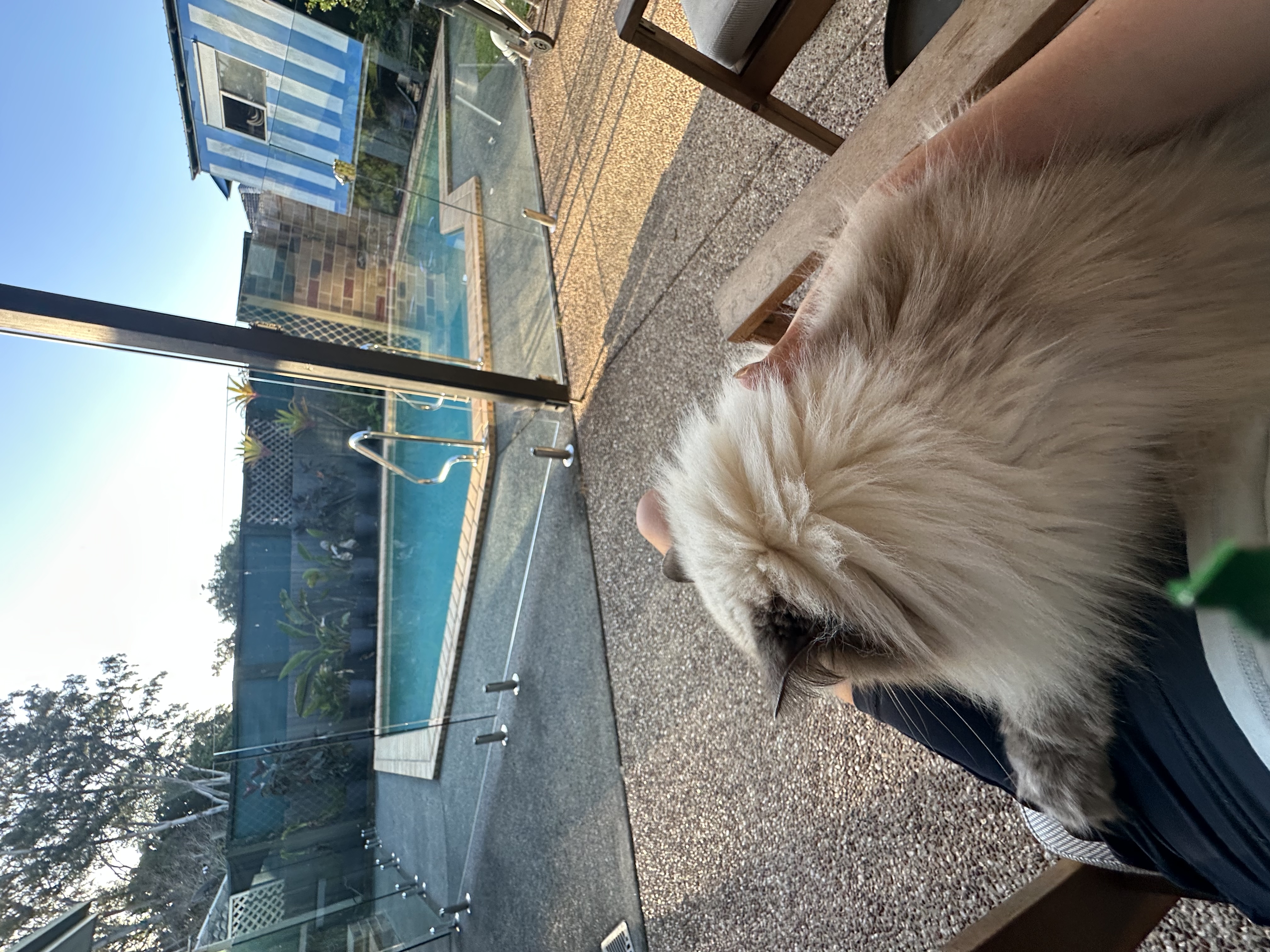 image-18