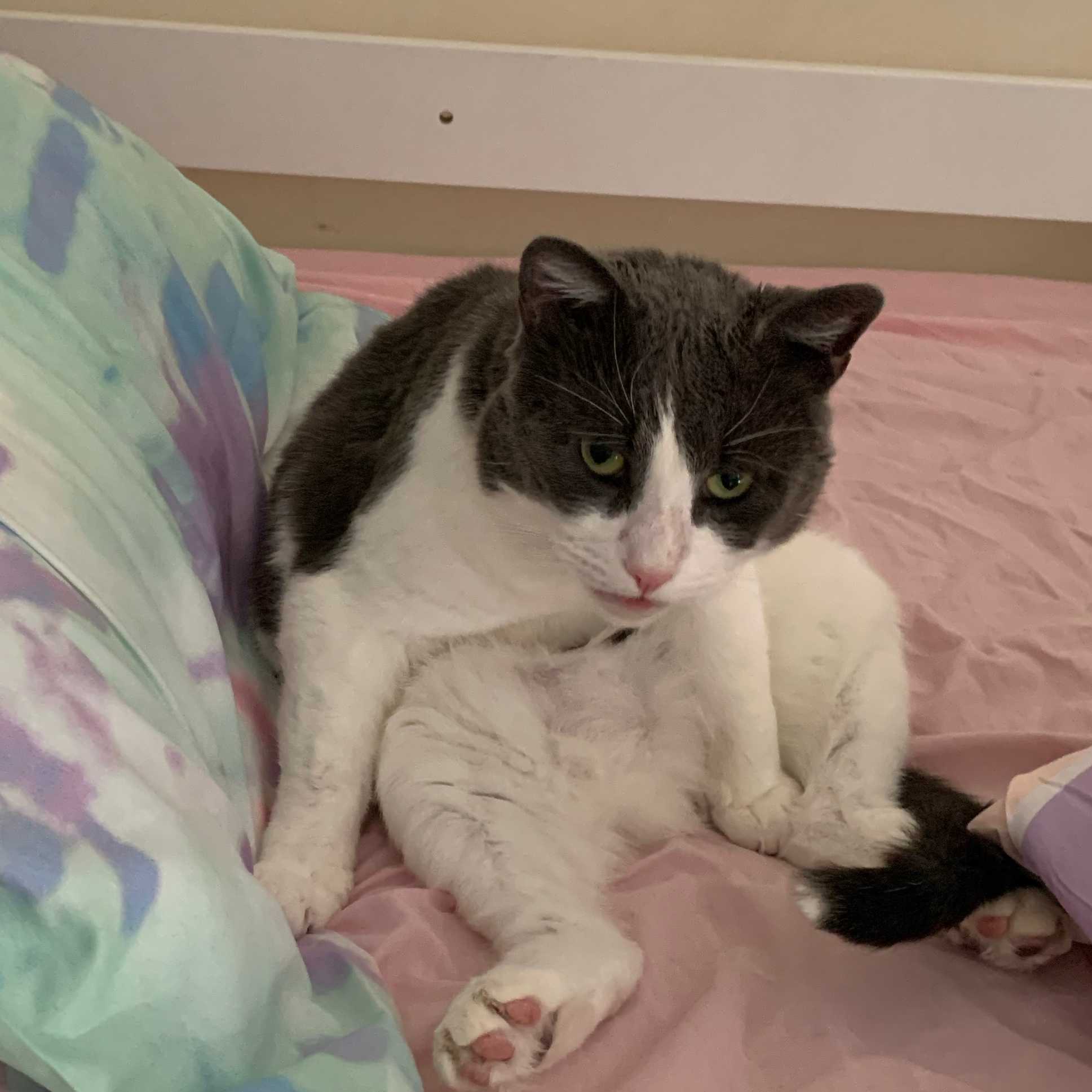 Miles Stanley Teller