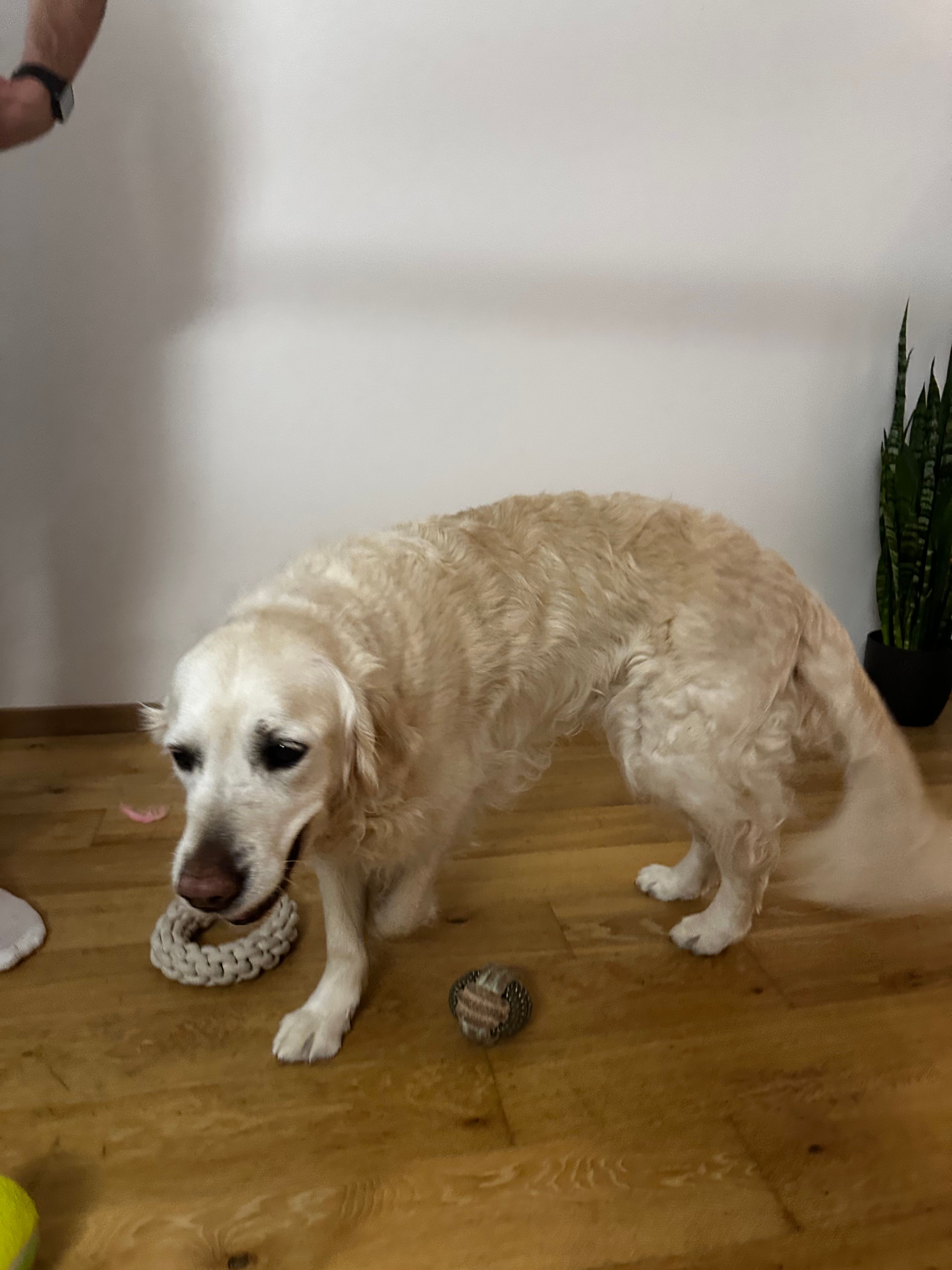 image-11