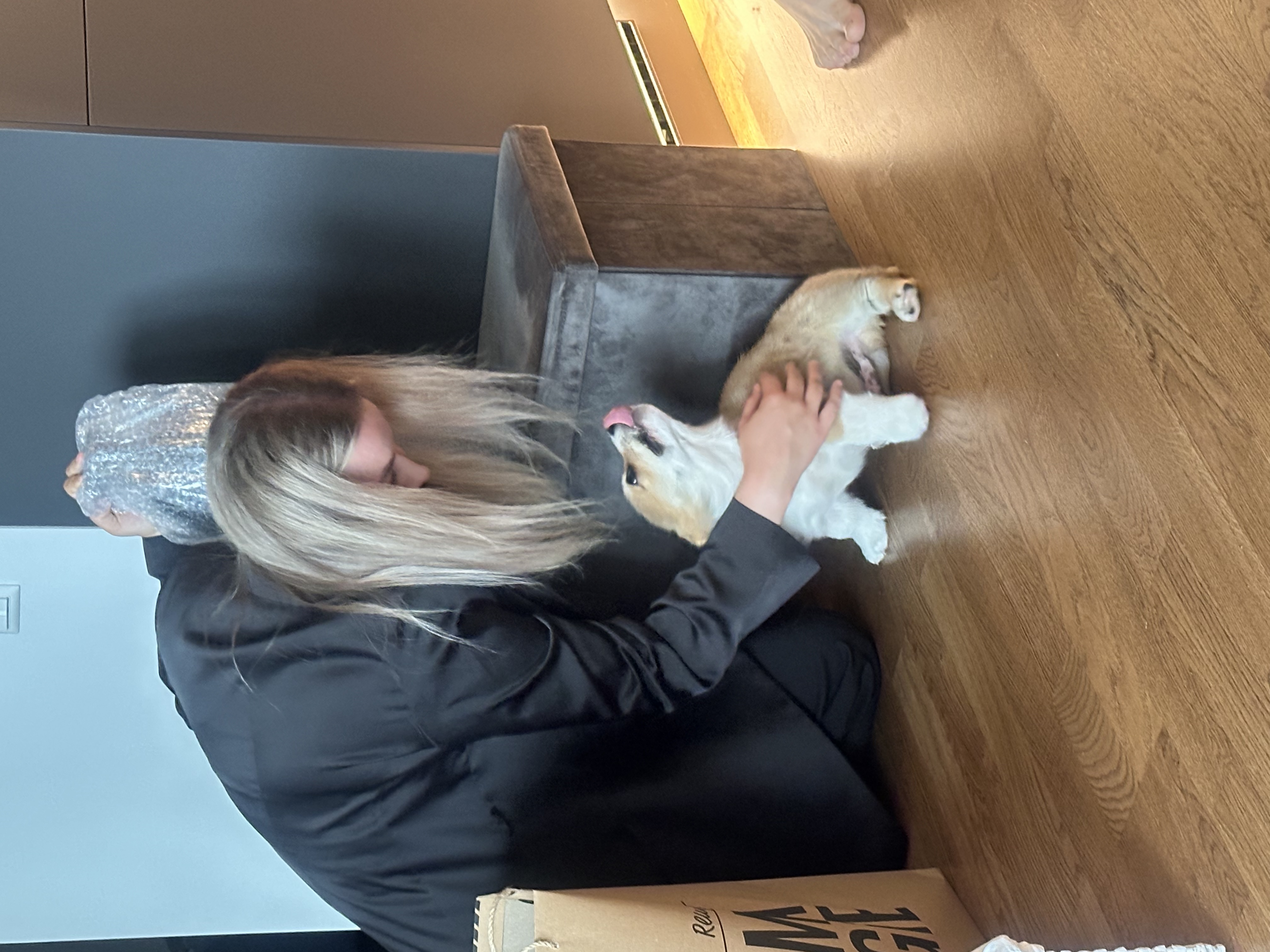 image-9