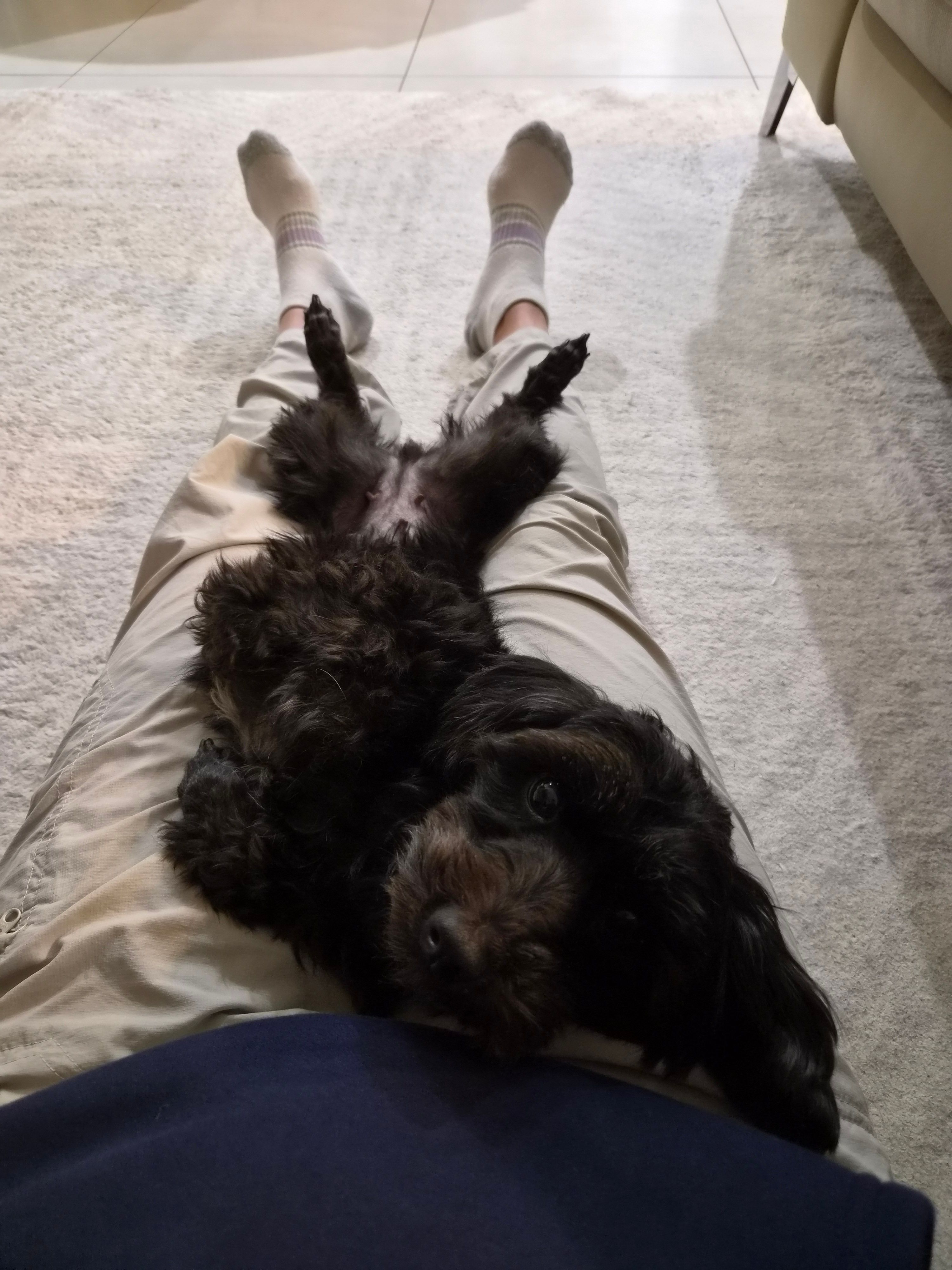 image-3