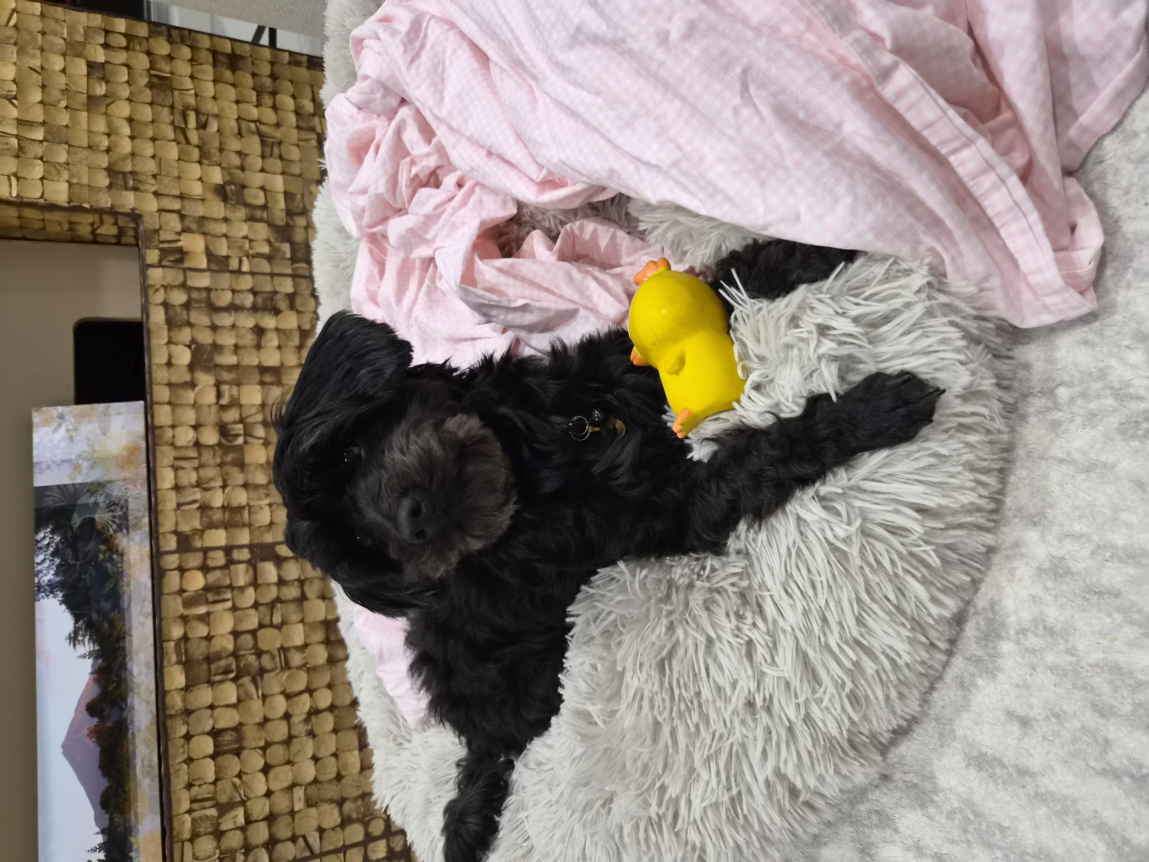 image-6