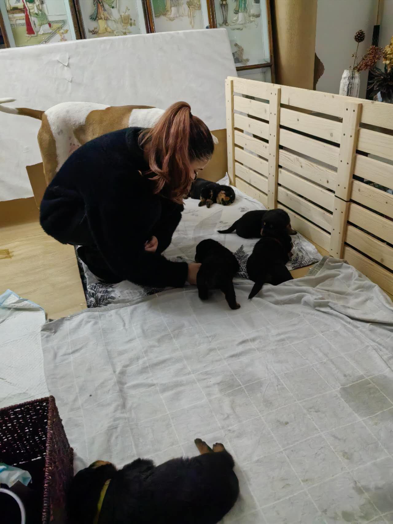 image-9