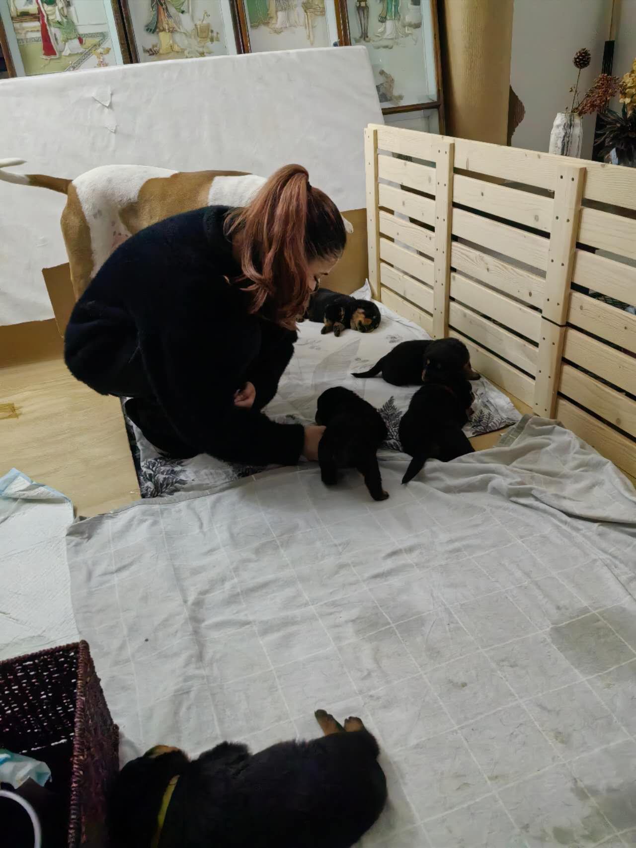image-9