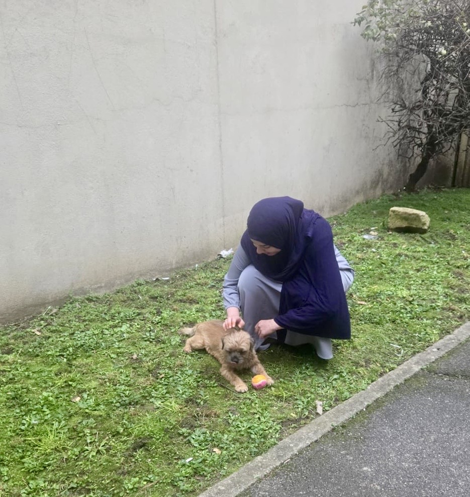 image-7