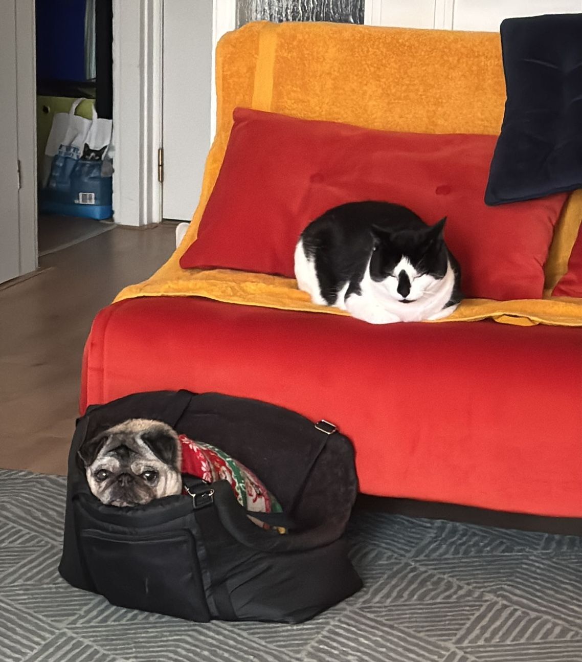 image-11