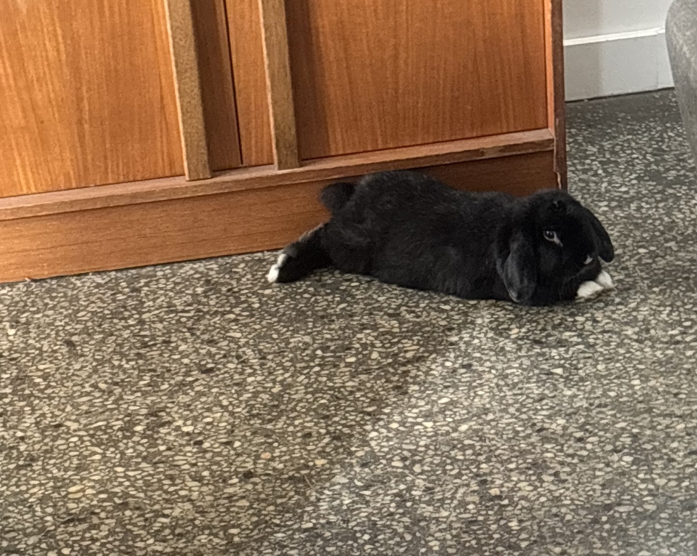 image-19