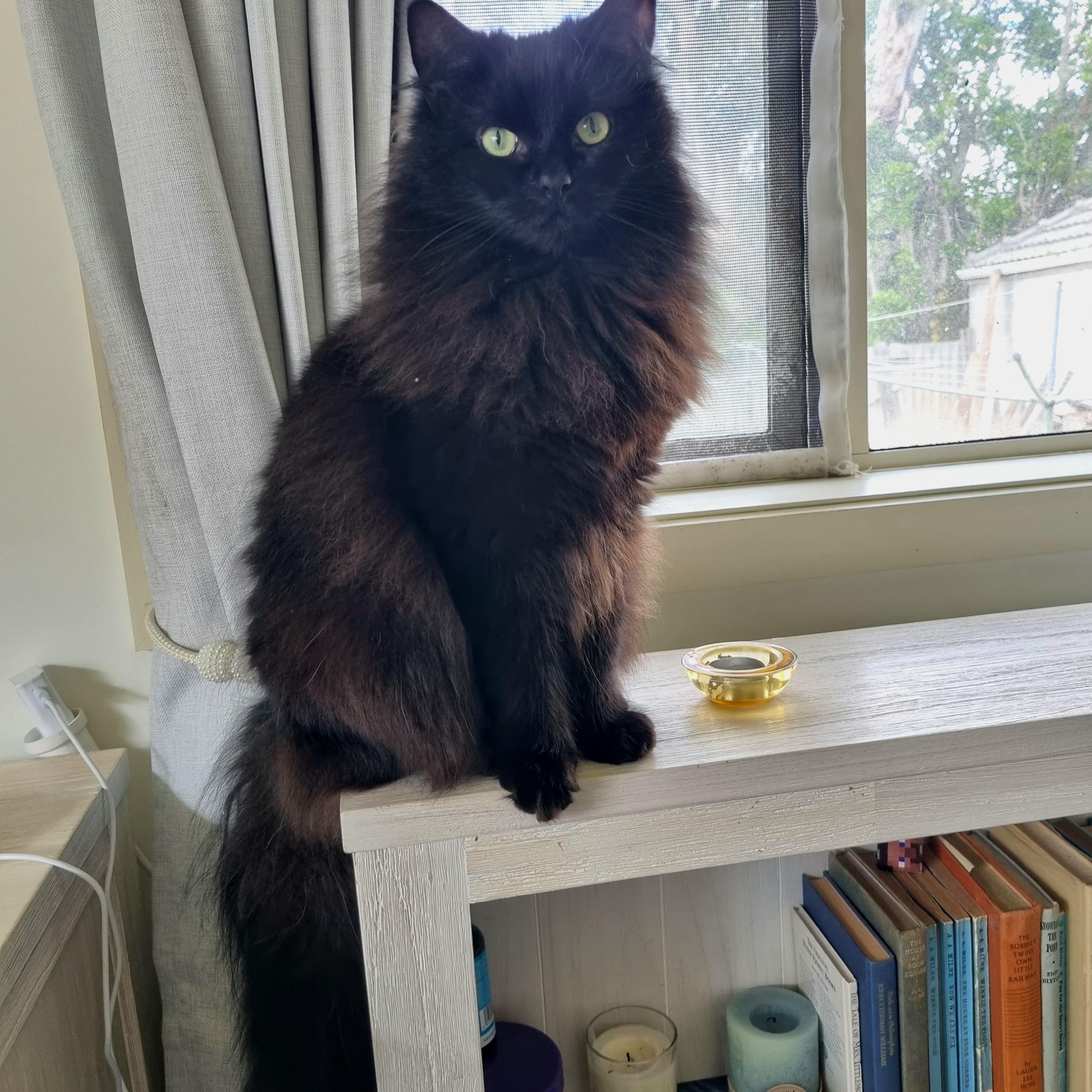 Vesper