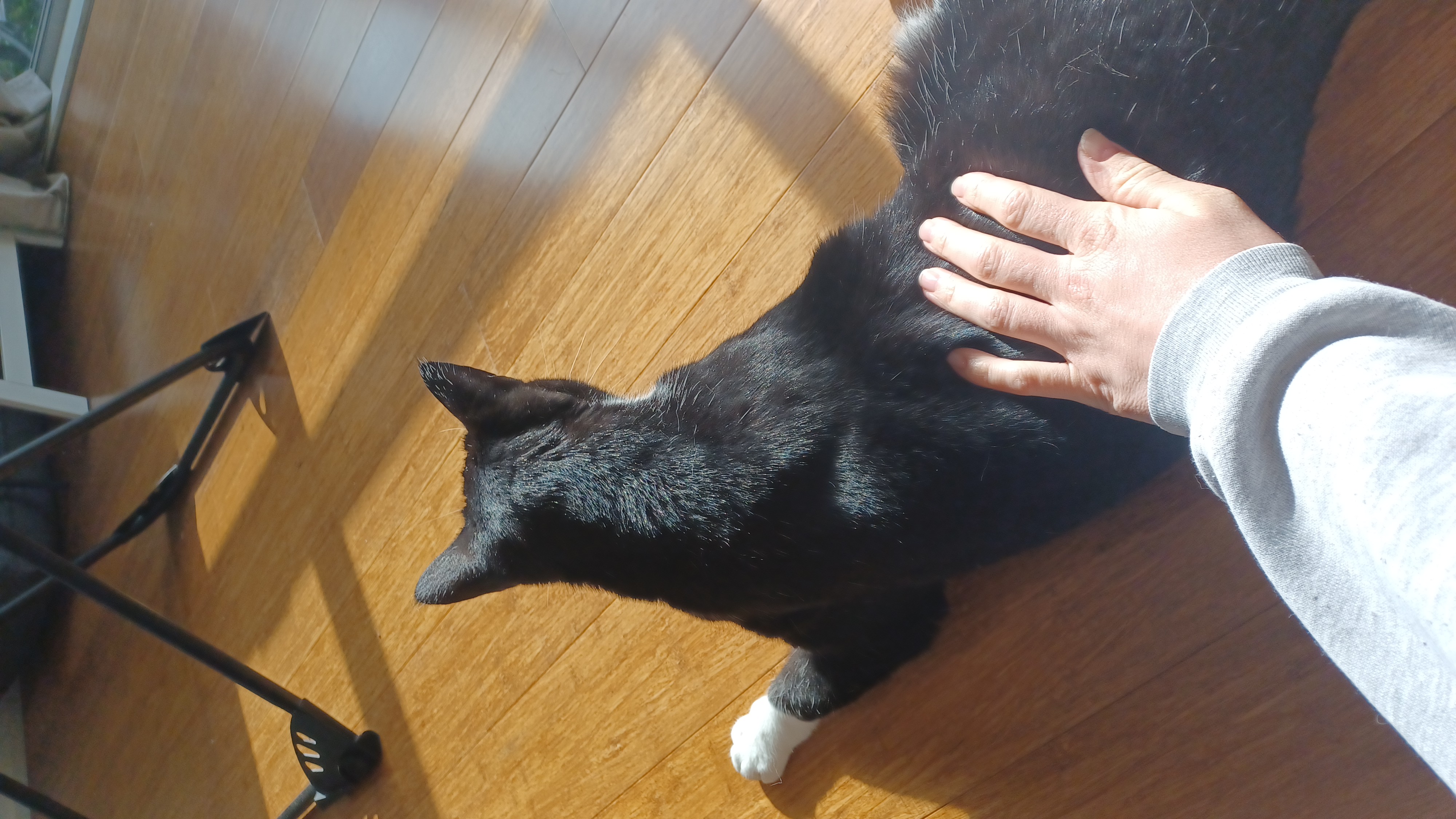 image-7