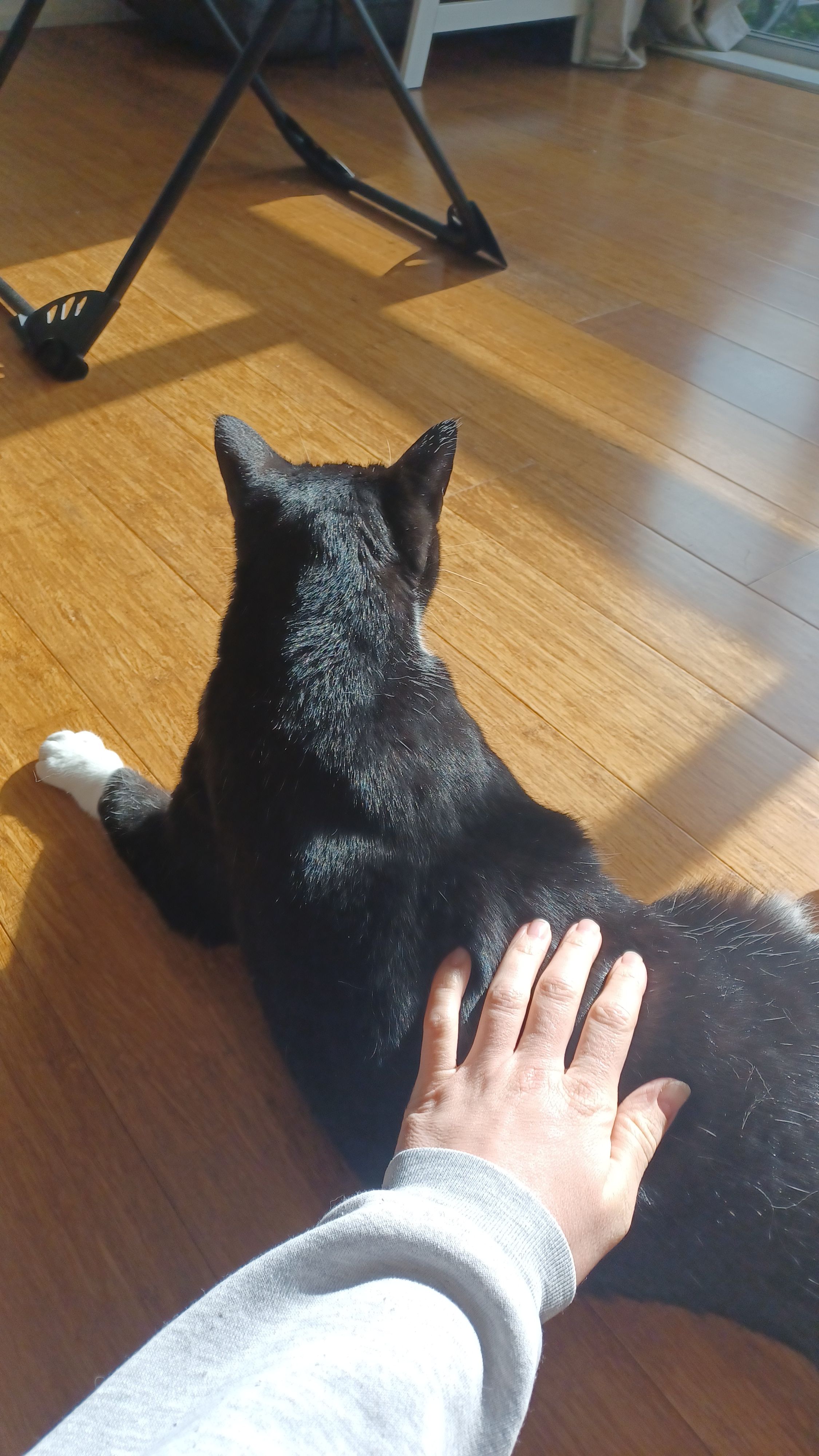 image-7