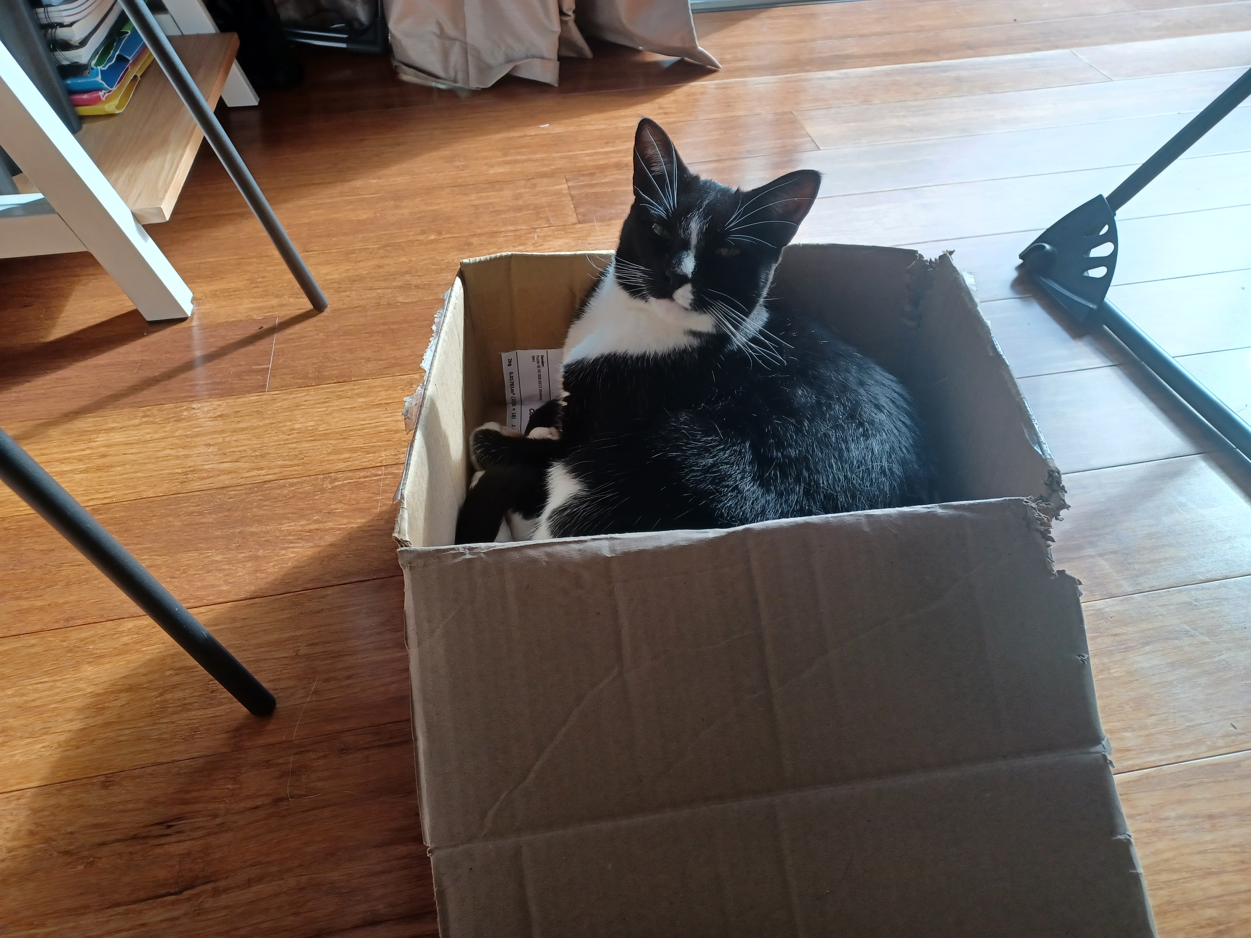 image-8