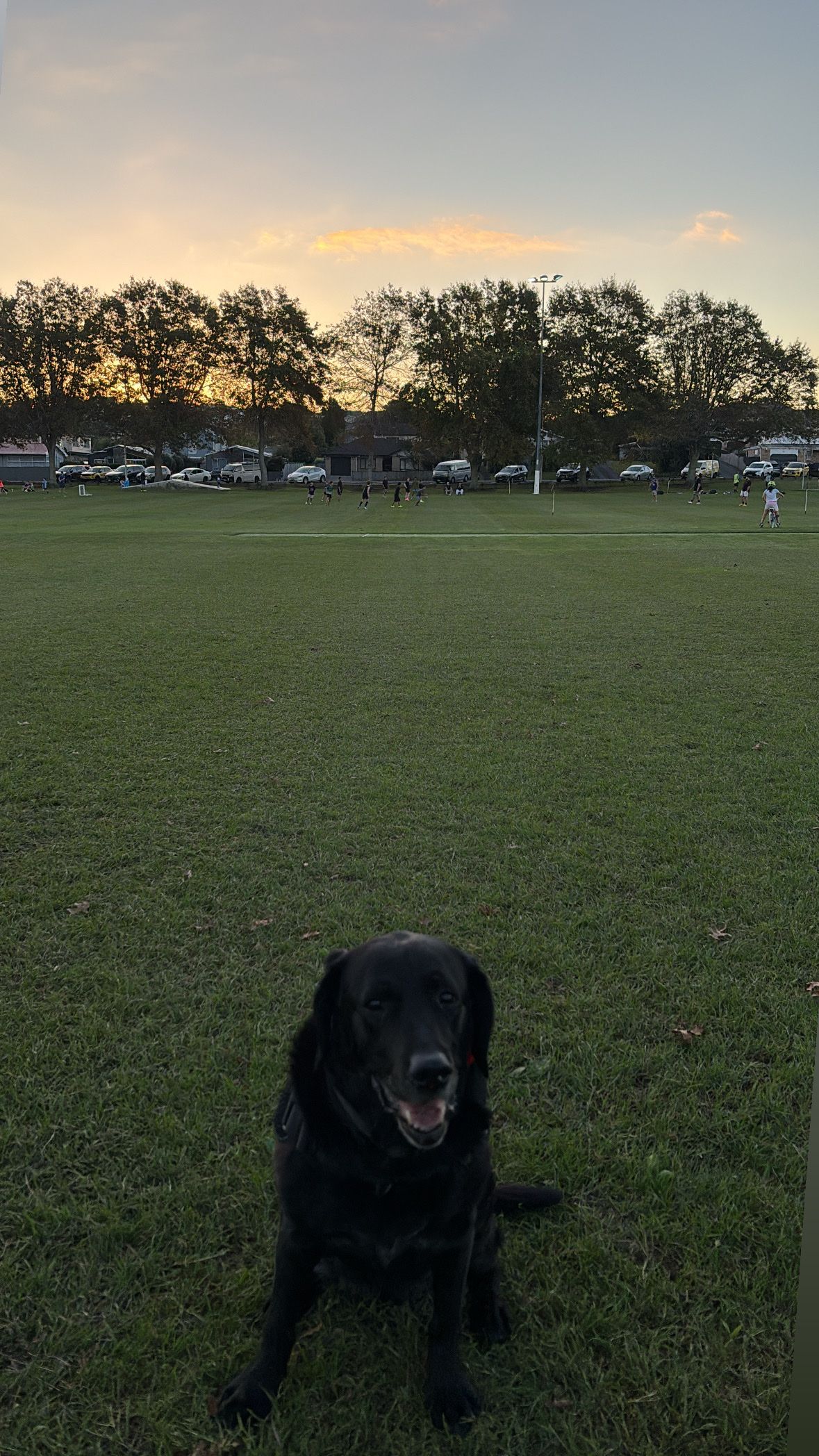 image-15