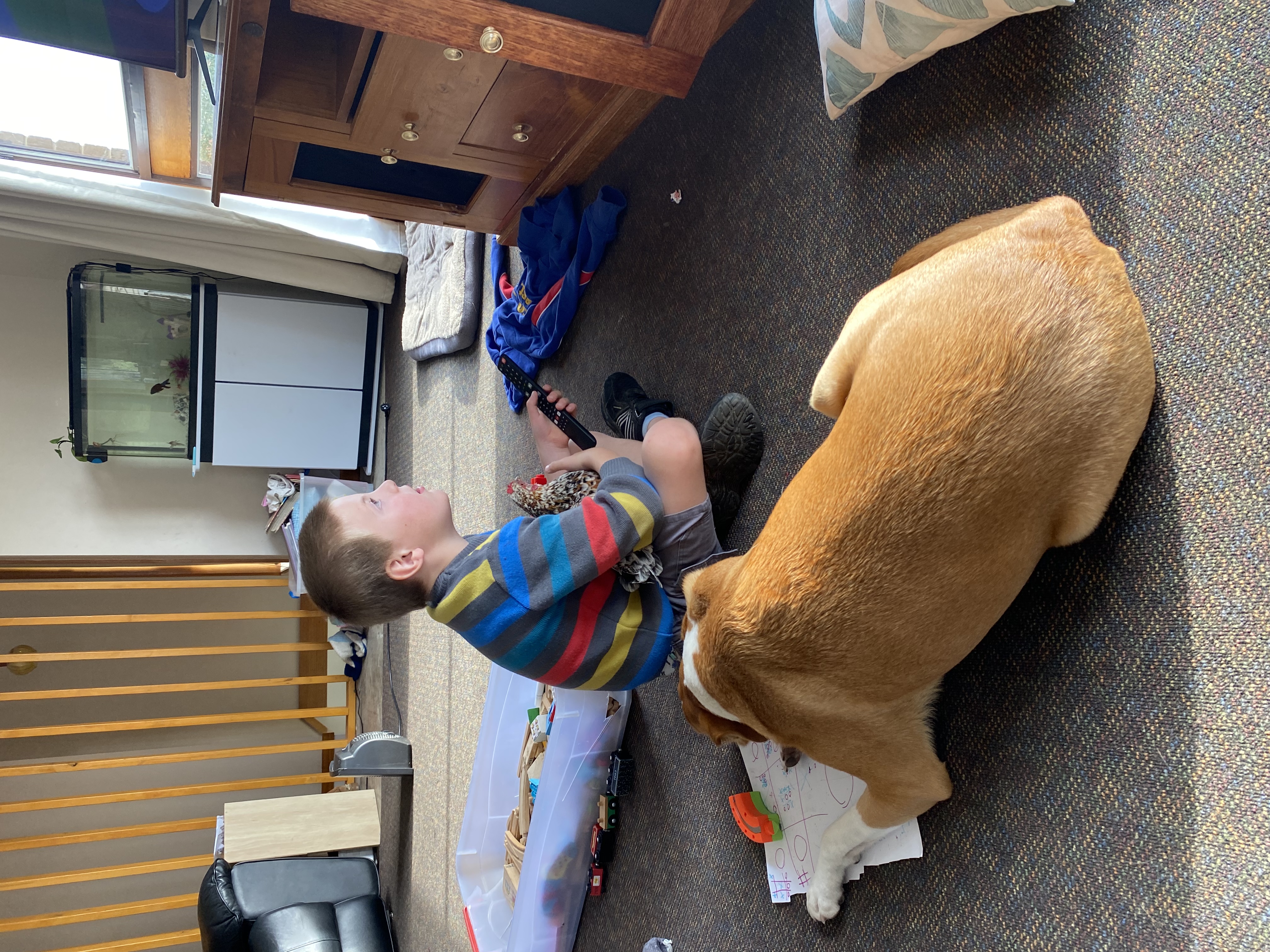 image-23