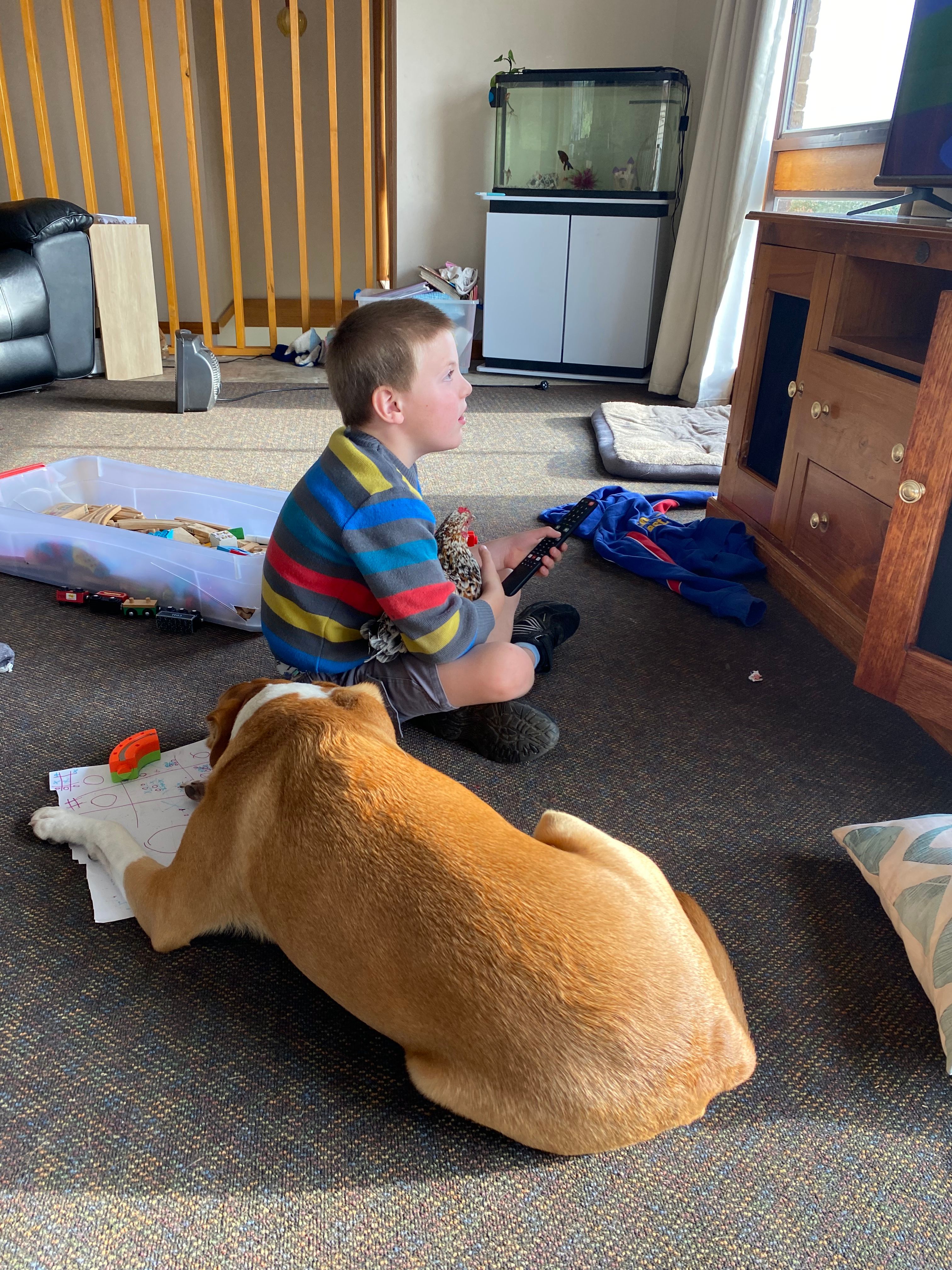 image-23